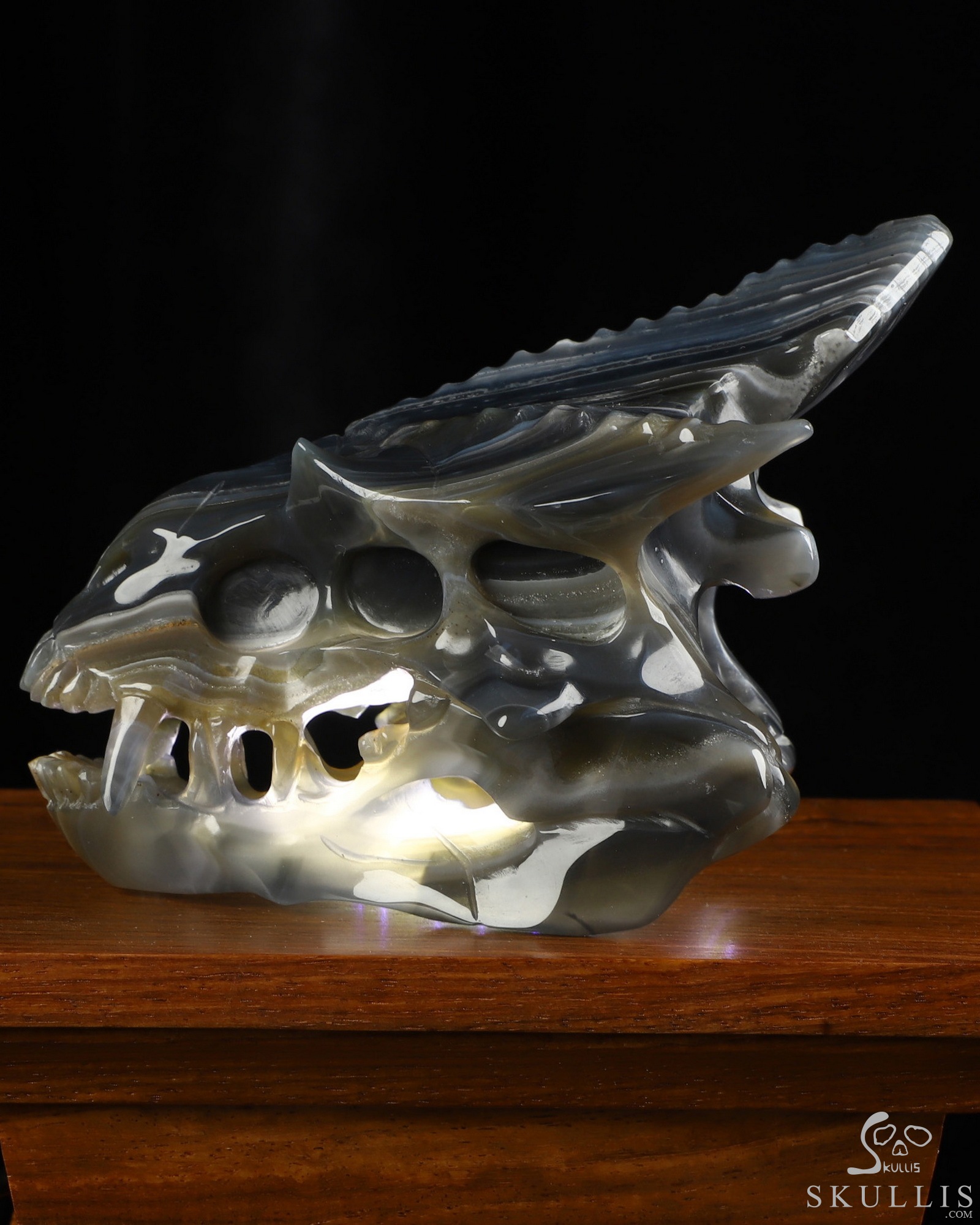 4.4" Premium Brazilian Agate Hand Carved Pterodactyl Crystal Skull Fine Art Sculpture, Crystal Healing 4.4" Premium Brazilian Agate Hand Carved Pterodactyl Crystal Skull Fine Art Sculpture, Crystal Healing