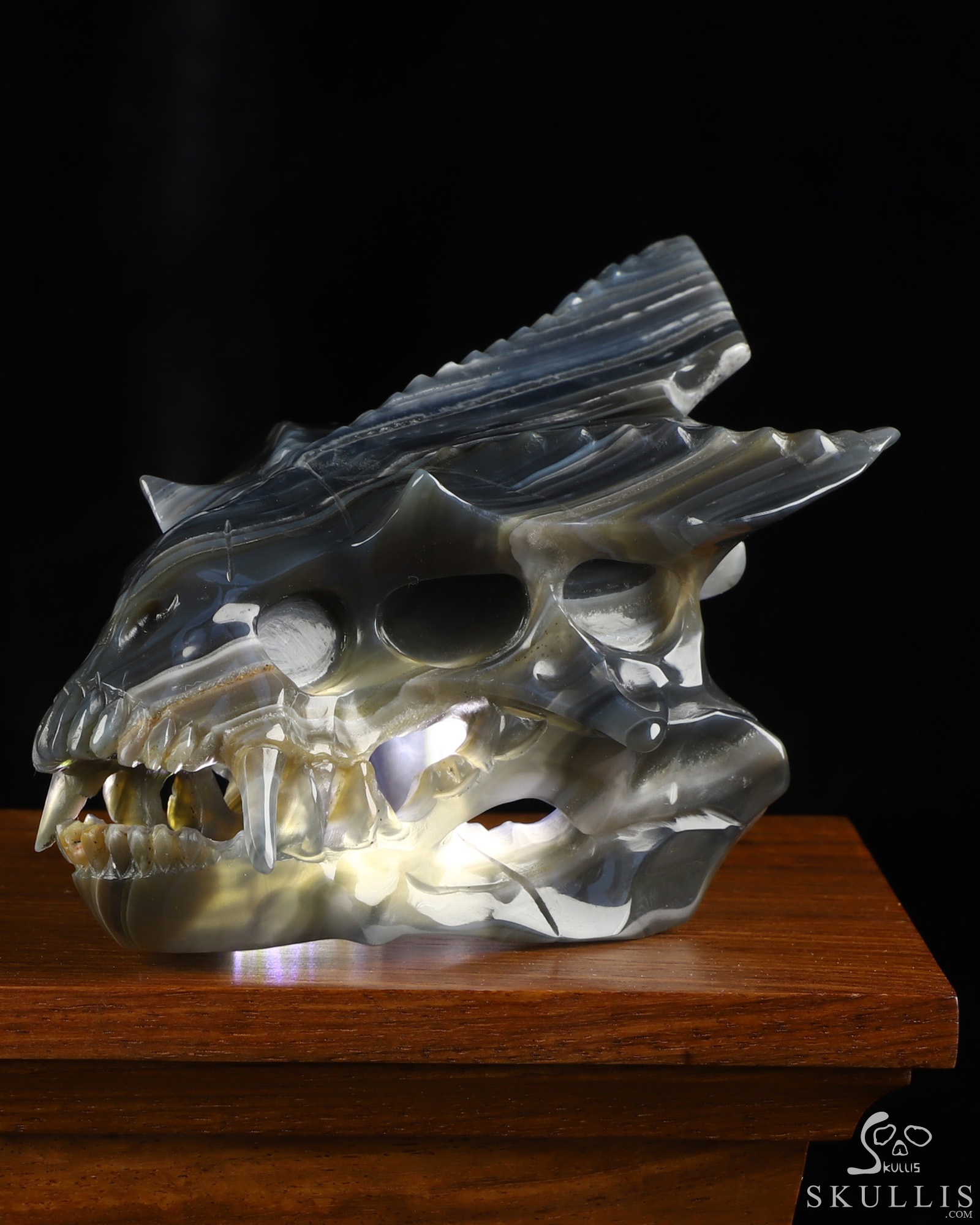 4.4" Premium Brazilian Agate Hand Carved Pterodactyl Crystal Skull Fine Art Sculpture, Crystal Healing 4.4" Premium Brazilian Agate Hand Carved Pterodactyl Crystal Skull Fine Art Sculpture, Crystal Healing
