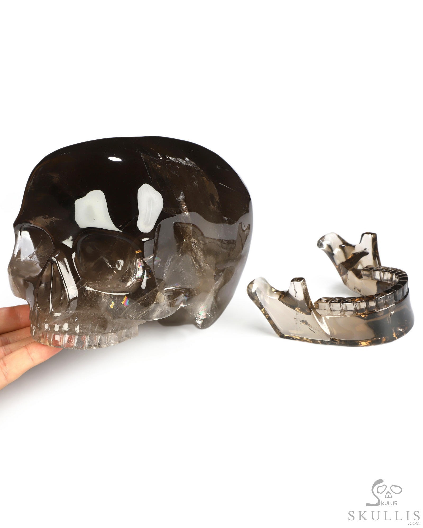 Oct 26, 2026 ACSAD (A Crystal Skull a Day) - A Different Kind of Whole - 8.3" Hand Carved Smoky Quartz Rock Crystal Mitchell-Hedges Crystal Skull with Detachable Jaw, Crystal Healing Oct 26, 2026 ACSAD (A Crystal Skull a Day) - A Different Kind of Whole - 8.3" Hand Carved Smoky Quartz Rock Crystal Mitchell-Hedges Crystal Skull with Detachable Jaw, Crystal Healing