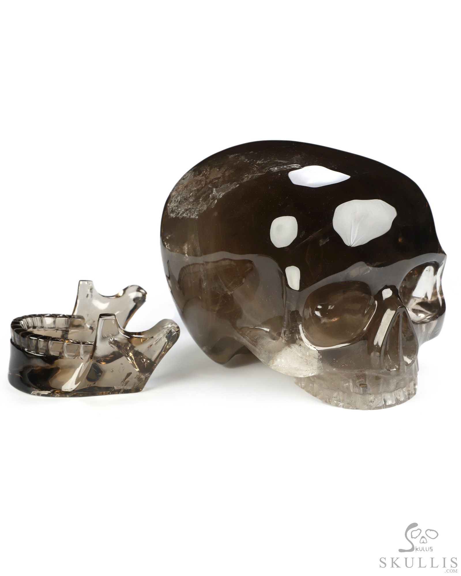 Oct 26, 2026 ACSAD (A Crystal Skull a Day) - A Different Kind of Whole - 8.3" Hand Carved Smoky Quartz Rock Crystal Mitchell-Hedges Crystal Skull with Detachable Jaw, Crystal Healing Oct 26, 2026 ACSAD (A Crystal Skull a Day) - A Different Kind of Whole - 8.3" Hand Carved Smoky Quartz Rock Crystal Mitchell-Hedges Crystal Skull with Detachable Jaw, Crystal Healing