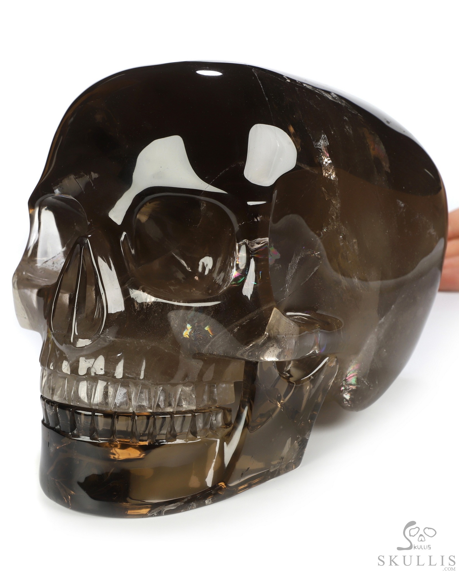 Oct 26, 2026 ACSAD (A Crystal Skull a Day) - A Different Kind of Whole - 8.3" Hand Carved Smoky Quartz Rock Crystal Mitchell-Hedges Crystal Skull with Detachable Jaw, Crystal Healing Oct 26, 2026 ACSAD (A Crystal Skull a Day) - A Different Kind of Whole - 8.3" Hand Carved Smoky Quartz Rock Crystal Mitchell-Hedges Crystal Skull with Detachable Jaw, Crystal Healing