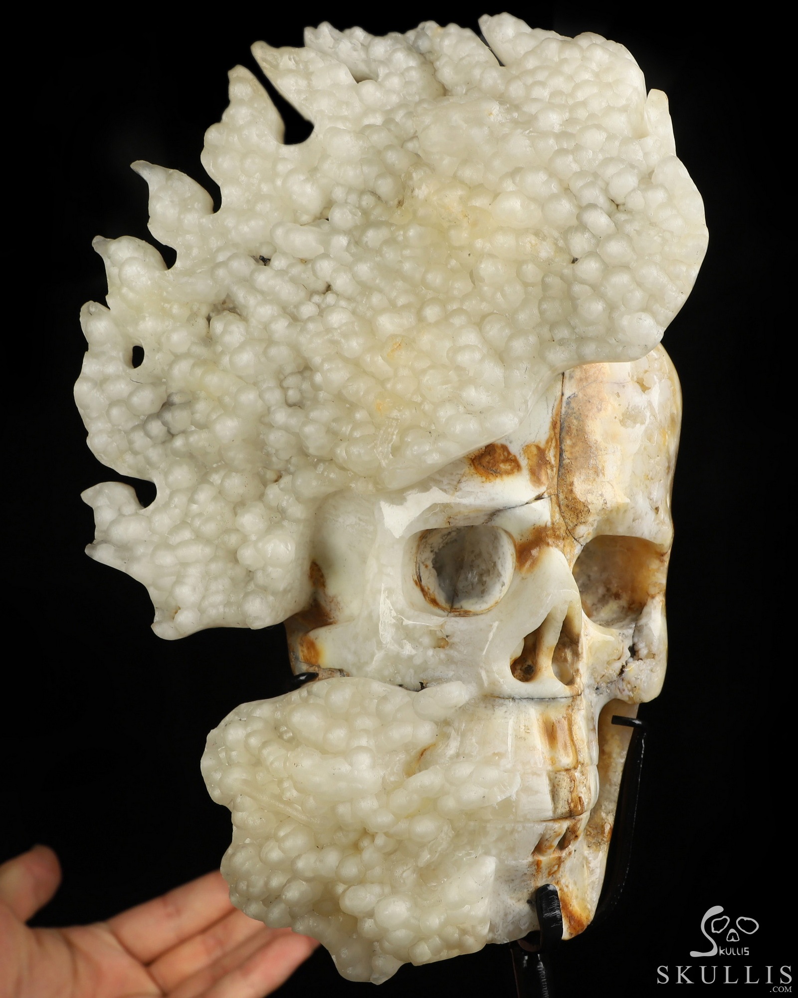 Oct 3, 2026 ACSAD (A Crystal Skull a Day) - Too Much to Think About - 7.8" Hand Carved Agate Botryoidal Chalcedony Crystal Skull Fine Art Sculpture, Crystal Healing Oct 3, 2026 ACSAD (A Crystal Skull a Day) - Too Much to Think About - 7.8" Hand Carved Agate Botryoidal Chalcedony Crystal Skull Fine Art Sculpture, Crystal Healing