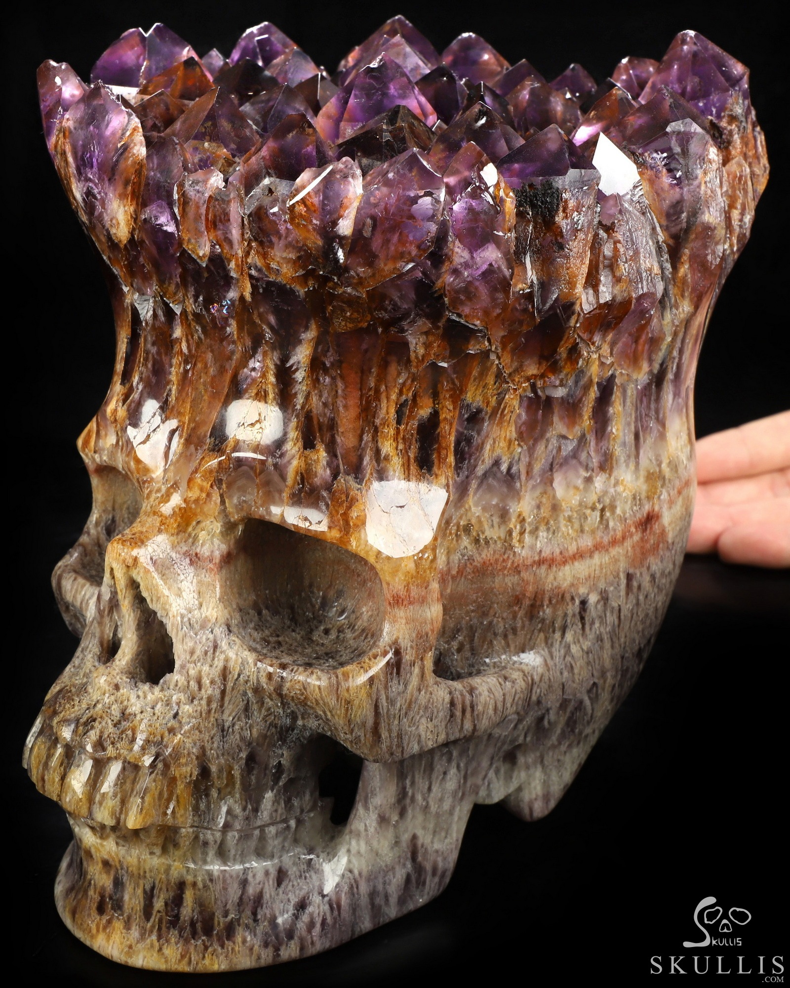 Oct 7, 2026 ACSAD (A Crystal Skull a Day) - What Remains Brilliant - Lifesized 8.1" Amethyst Cluster & Quartz Matrix Hand Carved Crystal Skull, Super Realistic, Crystal Healing Oct 7, 2026 ACSAD (A Crystal Skull a Day) - What Remains Brilliant - Lifesized 8.1" Amethyst Cluster & Quartz Matrix Hand Carved Crystal Skull, Super Realistic, Crystal Healing