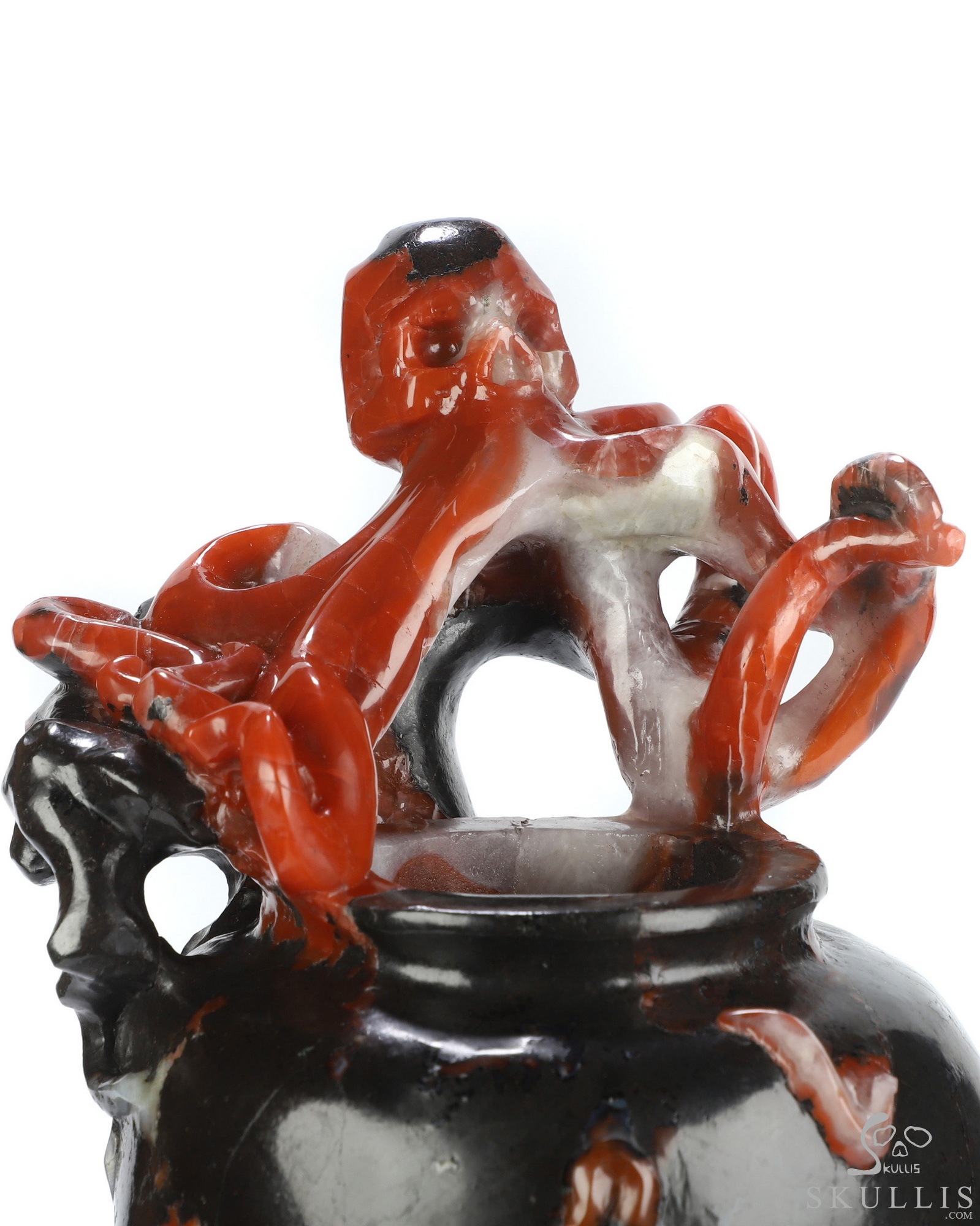 Oct 8, 2026 ACSAD (A Crystal Skull a Day) - The Tenant Refuses to Leave - 11.9" Hand Carved Empire Red Agate Octopus Crystal Skull Functional Flower Vase Fine Art Sculpture, Crystal Healing Oct 8, 2026 ACSAD (A Crystal Skull a Day) - The Tenant Refuses to Leave - 11.9" Hand Carved Empire Red Agate Octopus Crystal Skull Functional Flower Vase Fine Art Sculpture, Crystal Healing
