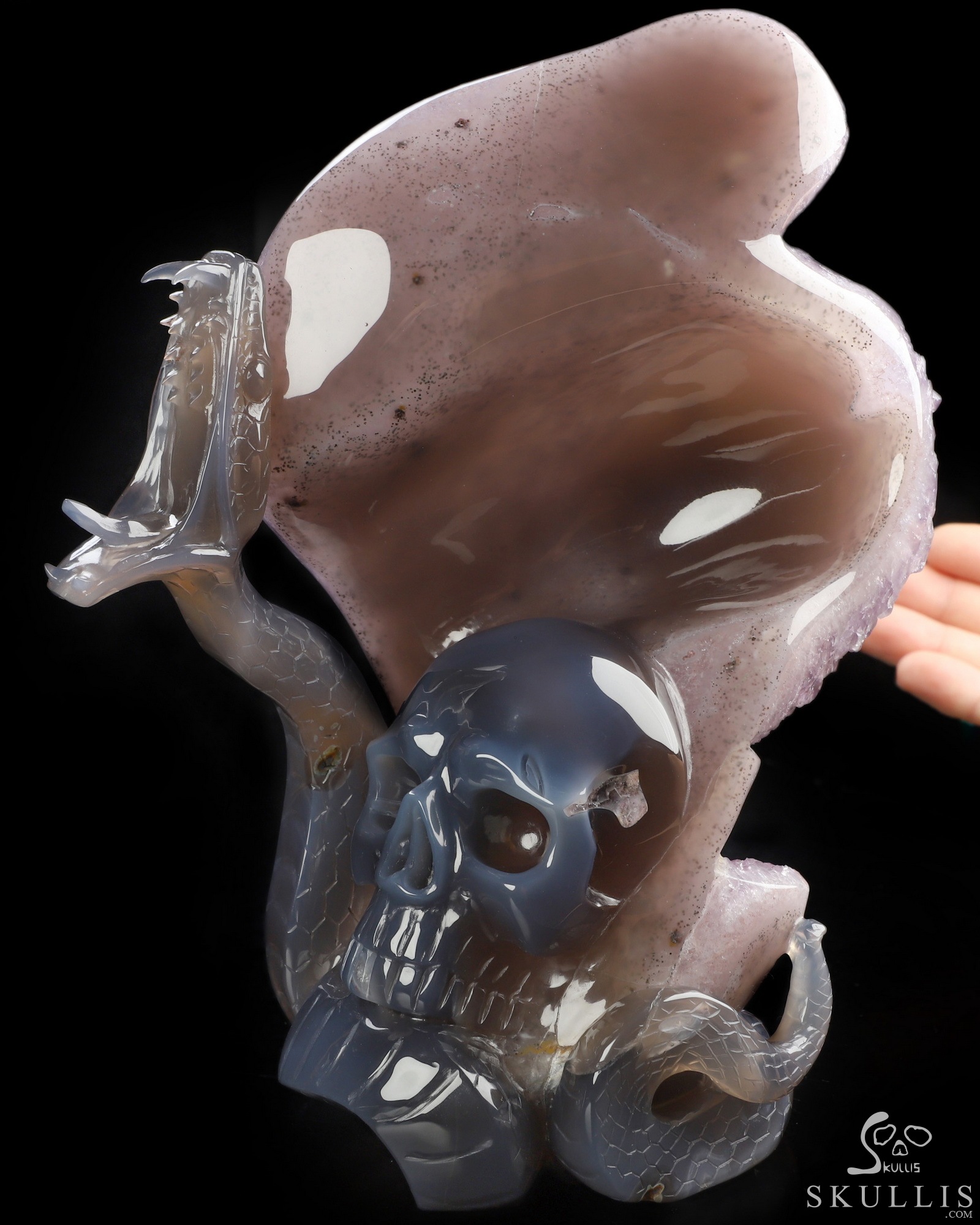 Sept 24, 2026 ACSAD (A Crystal Skull a Day) - Lilith’s Crown - 8.0" Agate Amethyst Druse Hand Carved Serpent & Crystal Skull Sculpture, Crystal Healing Sept 24, 2026 ACSAD (A Crystal Skull a Day) - Lilith’s Crown - 8.0" Agate Amethyst Druse Hand Carved Serpent & Crystal Skull Sculpture, Crystal Healing