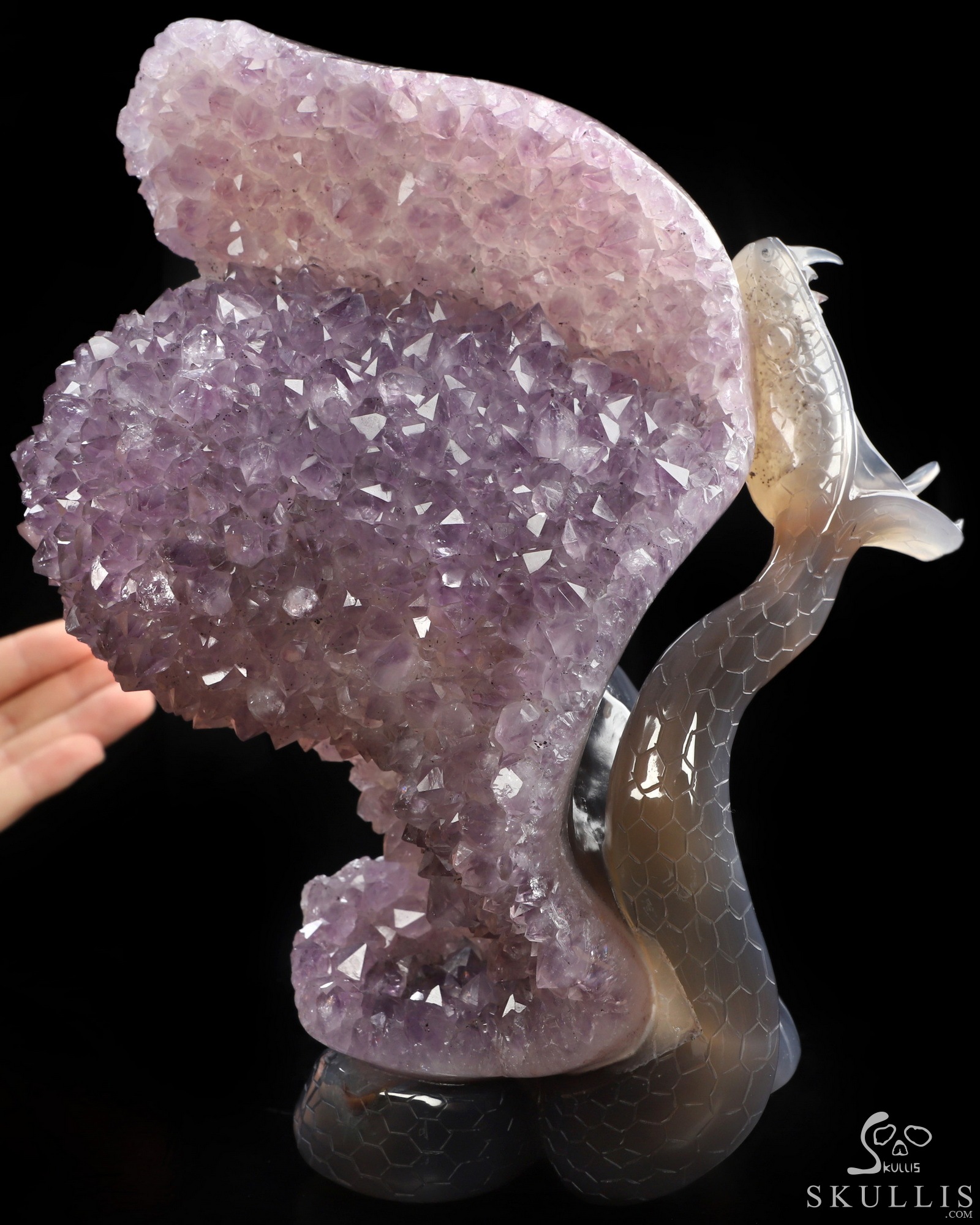 Sept 24, 2026 ACSAD (A Crystal Skull a Day) - Lilith’s Crown - 8.0" Agate Amethyst Druse Hand Carved Serpent & Crystal Skull Sculpture, Crystal Healing Sept 24, 2026 ACSAD (A Crystal Skull a Day) - Lilith’s Crown - 8.0" Agate Amethyst Druse Hand Carved Serpent & Crystal Skull Sculpture, Crystal Healing