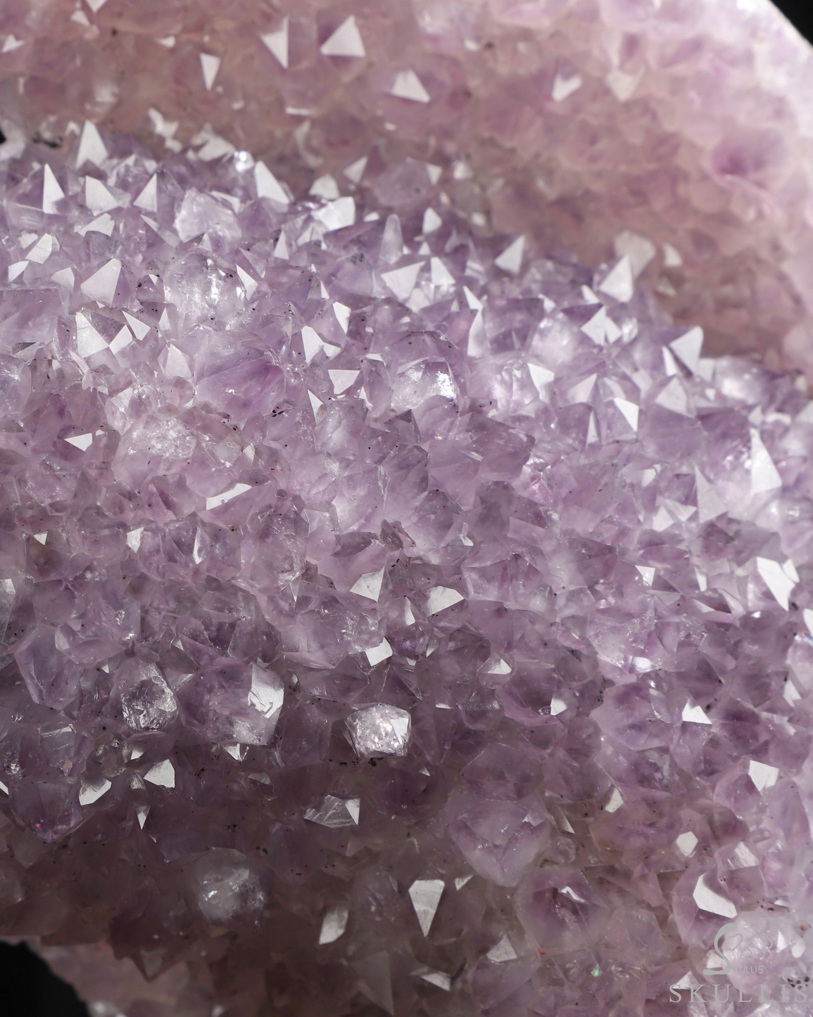Sept 24, 2026 ACSAD (A Crystal Skull a Day) - Lilith’s Crown - 8.0" Agate Amethyst Druse Hand Carved Serpent & Crystal Skull Sculpture, Crystal Healing Sept 24, 2026 ACSAD (A Crystal Skull a Day) - Lilith’s Crown - 8.0" Agate Amethyst Druse Hand Carved Serpent & Crystal Skull Sculpture, Crystal Healing