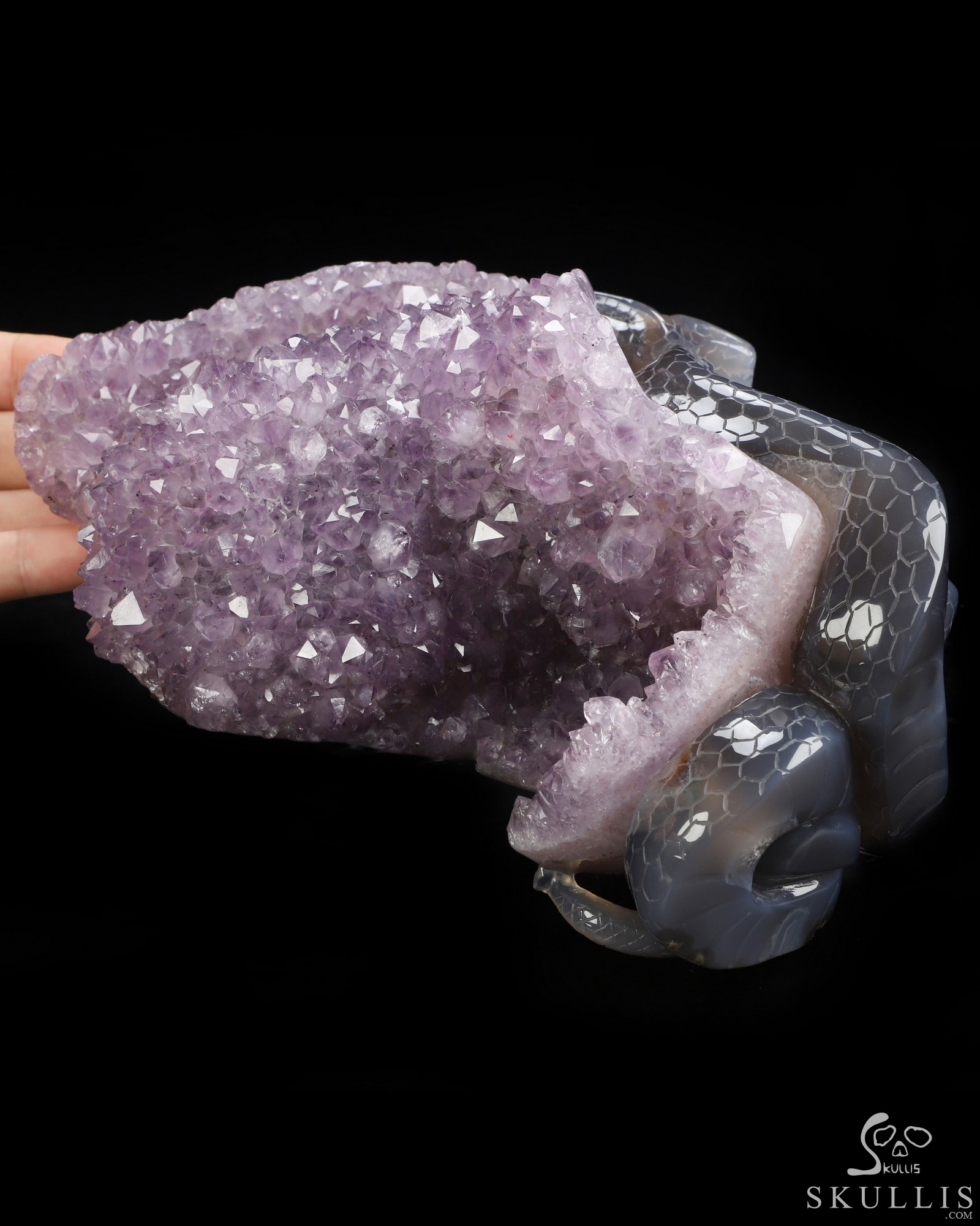 Sept 24, 2026 ACSAD (A Crystal Skull a Day) - Lilith’s Crown - 8.0" Agate Amethyst Druse Hand Carved Serpent & Crystal Skull Sculpture, Crystal Healing Sept 24, 2026 ACSAD (A Crystal Skull a Day) - Lilith’s Crown - 8.0" Agate Amethyst Druse Hand Carved Serpent & Crystal Skull Sculpture, Crystal Healing