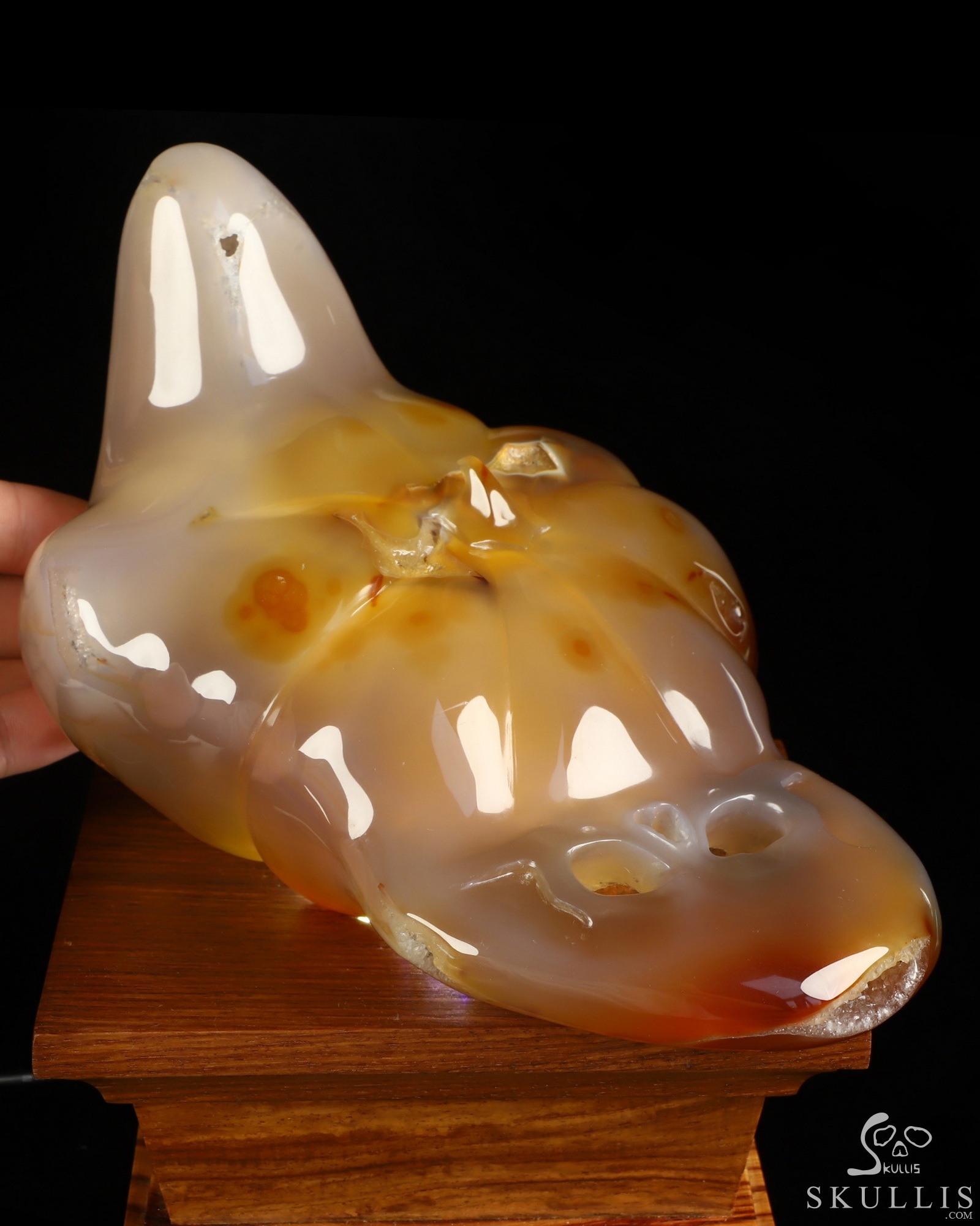 Oct 6, 2026 ACSAD (A Crystal Skull a Day) - A Piece of October - 8.4" Premium Brazilian Agate Hand Carved Jack-O'-Lantern Pumpkin Crystal Skull Sculpture, Crystal Healing Oct 6, 2026 ACSAD (A Crystal Skull a Day) - A Piece of October - 8.4" Premium Brazilian Agate Hand Carved Jack-O'-Lantern Pumpkin Crystal Skull Sculpture, Crystal Healing