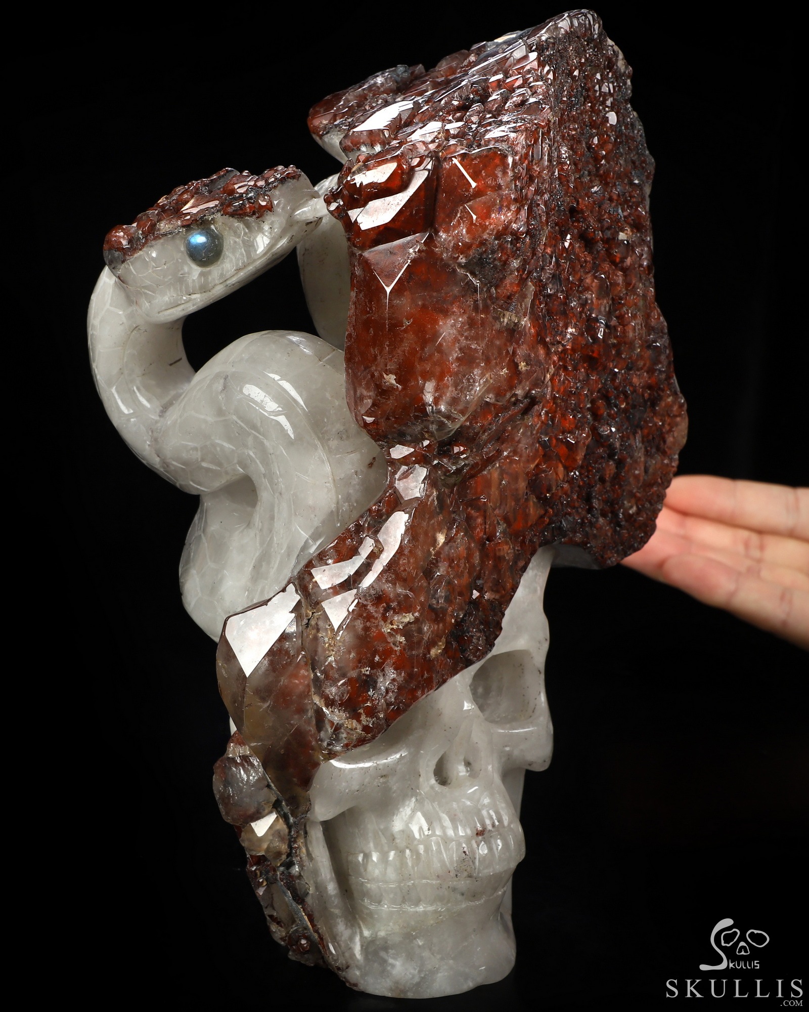 Oct 2, 2026 ACSAD (A Crystal Skull a Day) - The Stone Was Warm - 8.5" Red Quartz Hand Carved Serpent & Crystal Skull Sculpture With Labradorite Eyes, Crystal Healing Oct 2, 2026 ACSAD (A Crystal Skull a Day) - The Stone Was Warm - 8.5" Red Quartz Hand Carved Serpent & Crystal Skull Sculpture With Labradorite Eyes, Crystal Healing