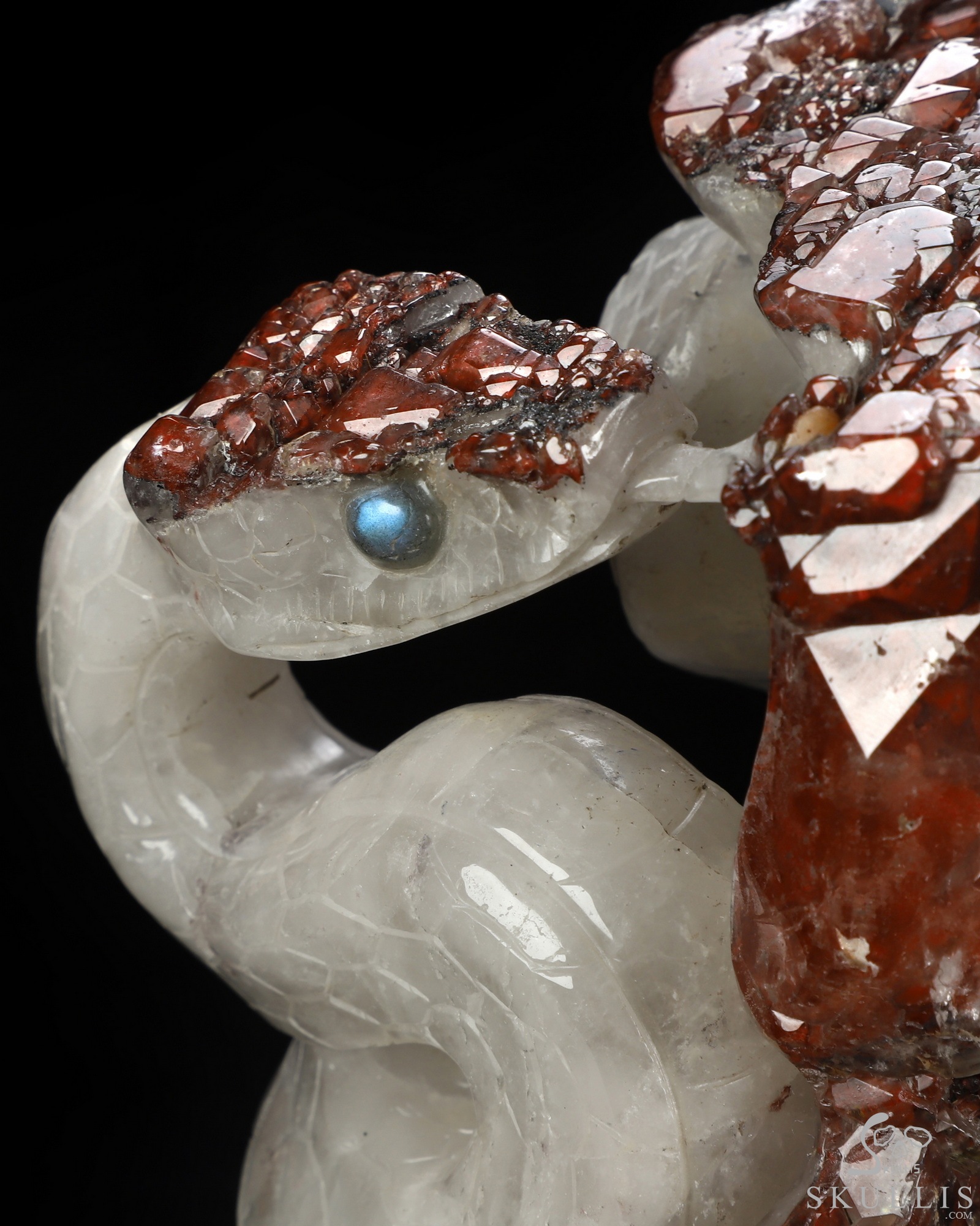 Oct 2, 2026 ACSAD (A Crystal Skull a Day) - The Stone Was Warm - 8.5" Red Quartz Hand Carved Serpent & Crystal Skull Sculpture With Labradorite Eyes, Crystal Healing Oct 2, 2026 ACSAD (A Crystal Skull a Day) - The Stone Was Warm - 8.5" Red Quartz Hand Carved Serpent & Crystal Skull Sculpture With Labradorite Eyes, Crystal Healing