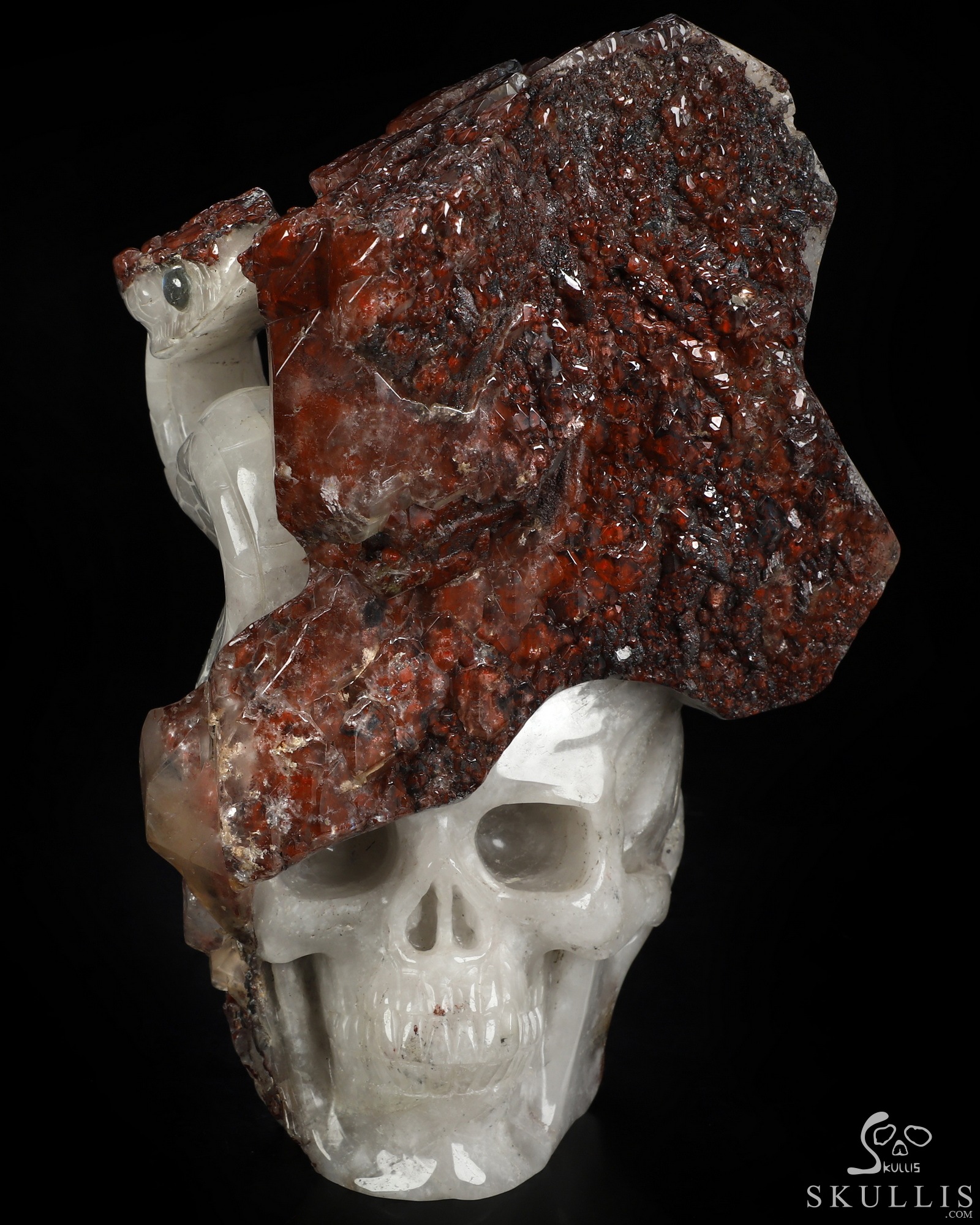 Oct 2, 2026 ACSAD (A Crystal Skull a Day) - The Stone Was Warm - 8.5" Red Quartz Hand Carved Serpent & Crystal Skull Sculpture With Labradorite Eyes, Crystal Healing Oct 2, 2026 ACSAD (A Crystal Skull a Day) - The Stone Was Warm - 8.5" Red Quartz Hand Carved Serpent & Crystal Skull Sculpture With Labradorite Eyes, Crystal Healing