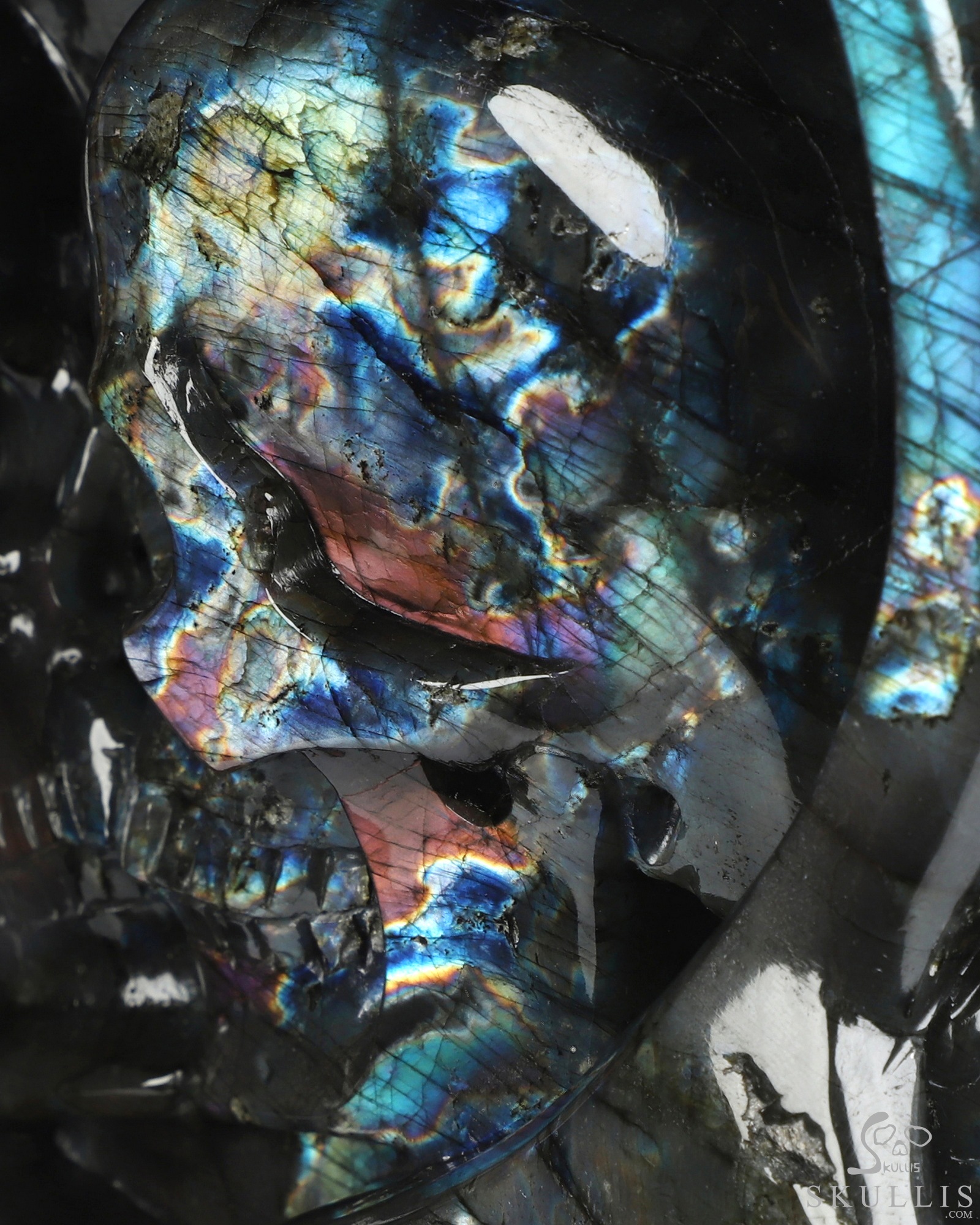 Sept 25, 2026 ACSAD (A Crystal Skull a Day) - The Shape of Us - 10.1" Labradorite Hand Carved Dragon & Crystal Skull Fine Art Sculpture, Crystal Healing Sept 25, 2026 ACSAD (A Crystal Skull a Day) - The Shape of Us - 10.1" Labradorite Hand Carved Dragon & Crystal Skull Fine Art Sculpture, Crystal Healing