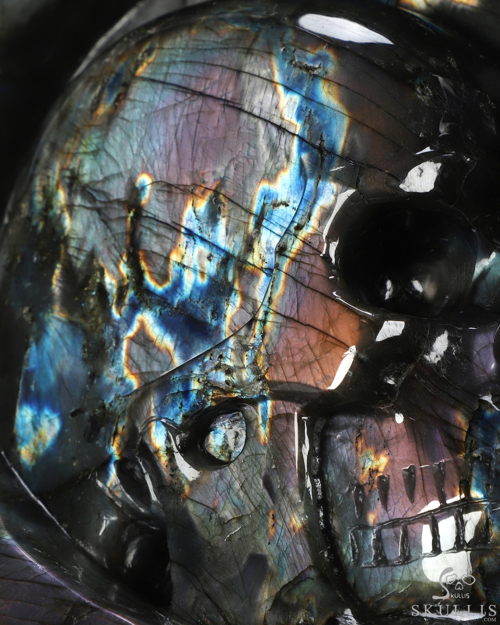 Sept 25, 2026 ACSAD (A Crystal Skull a Day) - The Shape of Us - 10.1" Labradorite Hand Carved Dragon & Crystal Skull Fine Art Sculpture, Crystal Healing Sept 25, 2026 ACSAD (A Crystal Skull a Day) - The Shape of Us - 10.1" Labradorite Hand Carved Dragon & Crystal Skull Fine Art Sculpture, Crystal Healing