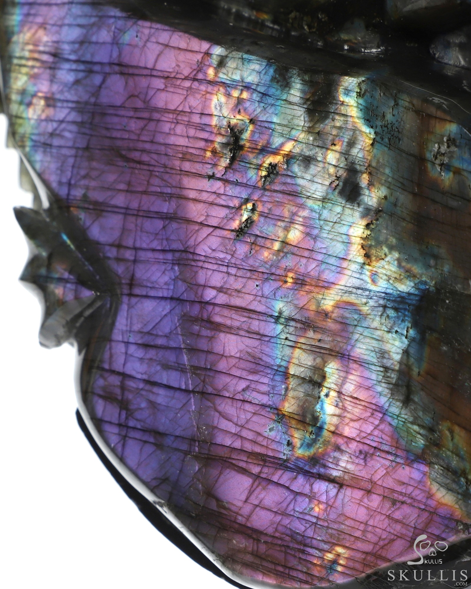 Sept 25, 2026 ACSAD (A Crystal Skull a Day) - The Shape of Us - 10.1" Labradorite Hand Carved Dragon & Crystal Skull Fine Art Sculpture, Crystal Healing Sept 25, 2026 ACSAD (A Crystal Skull a Day) - The Shape of Us - 10.1" Labradorite Hand Carved Dragon & Crystal Skull Fine Art Sculpture, Crystal Healing
