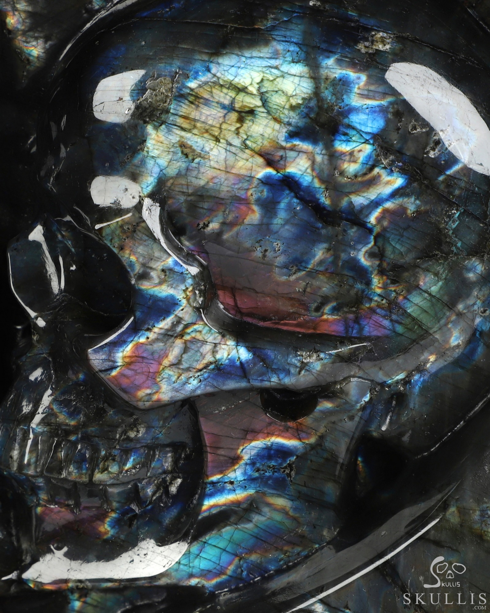 Sept 25, 2026 ACSAD (A Crystal Skull a Day) - The Shape of Us - 10.1" Labradorite Hand Carved Dragon & Crystal Skull Fine Art Sculpture, Crystal Healing Sept 25, 2026 ACSAD (A Crystal Skull a Day) - The Shape of Us - 10.1" Labradorite Hand Carved Dragon & Crystal Skull Fine Art Sculpture, Crystal Healing