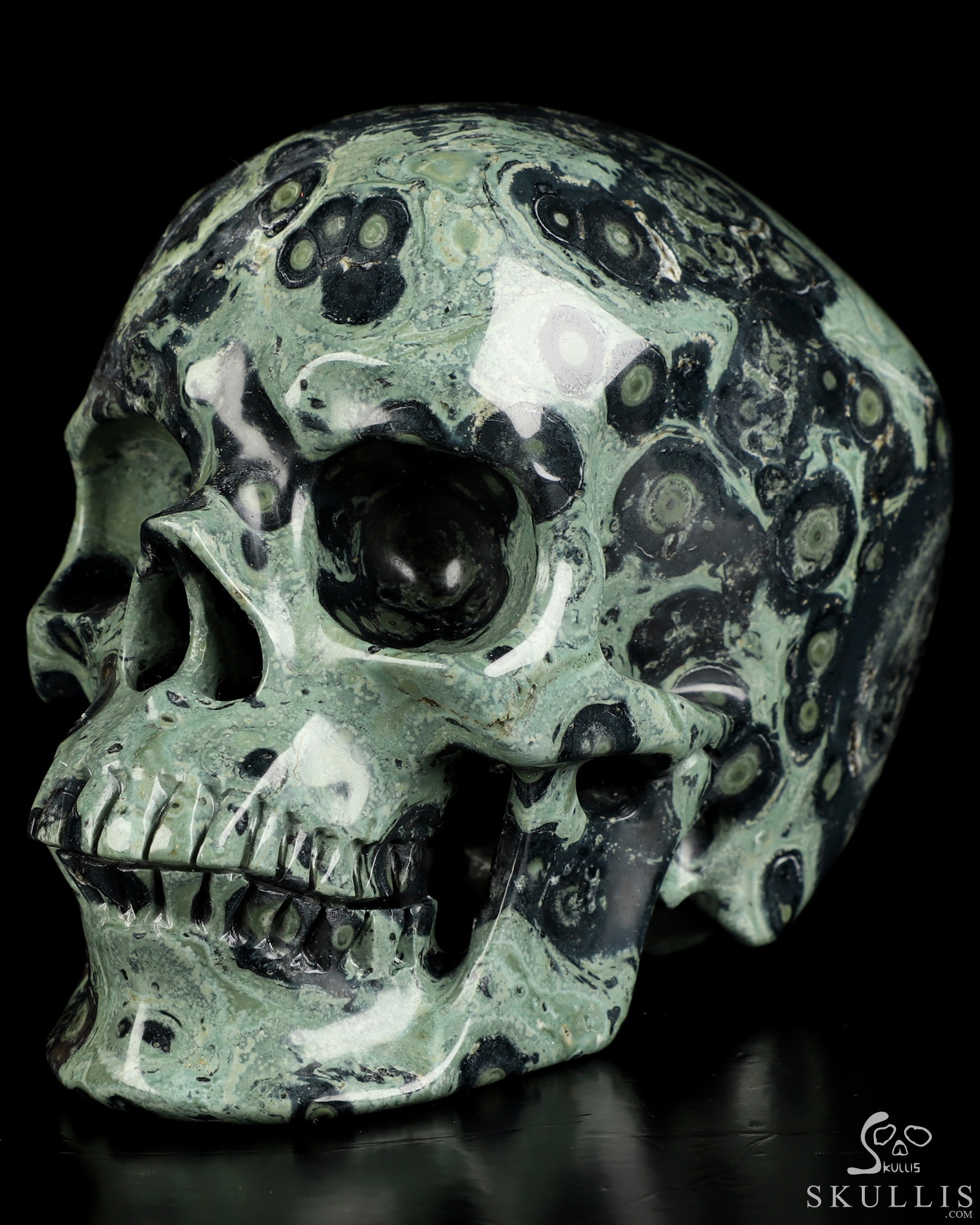 5.0" Kambaba Jasper Hand Carved Crystal Skull, Super Realistic, Crystal Healing 5.0" Kambaba Jasper Hand Carved Crystal Skull, Super Realistic, Crystal Healing
