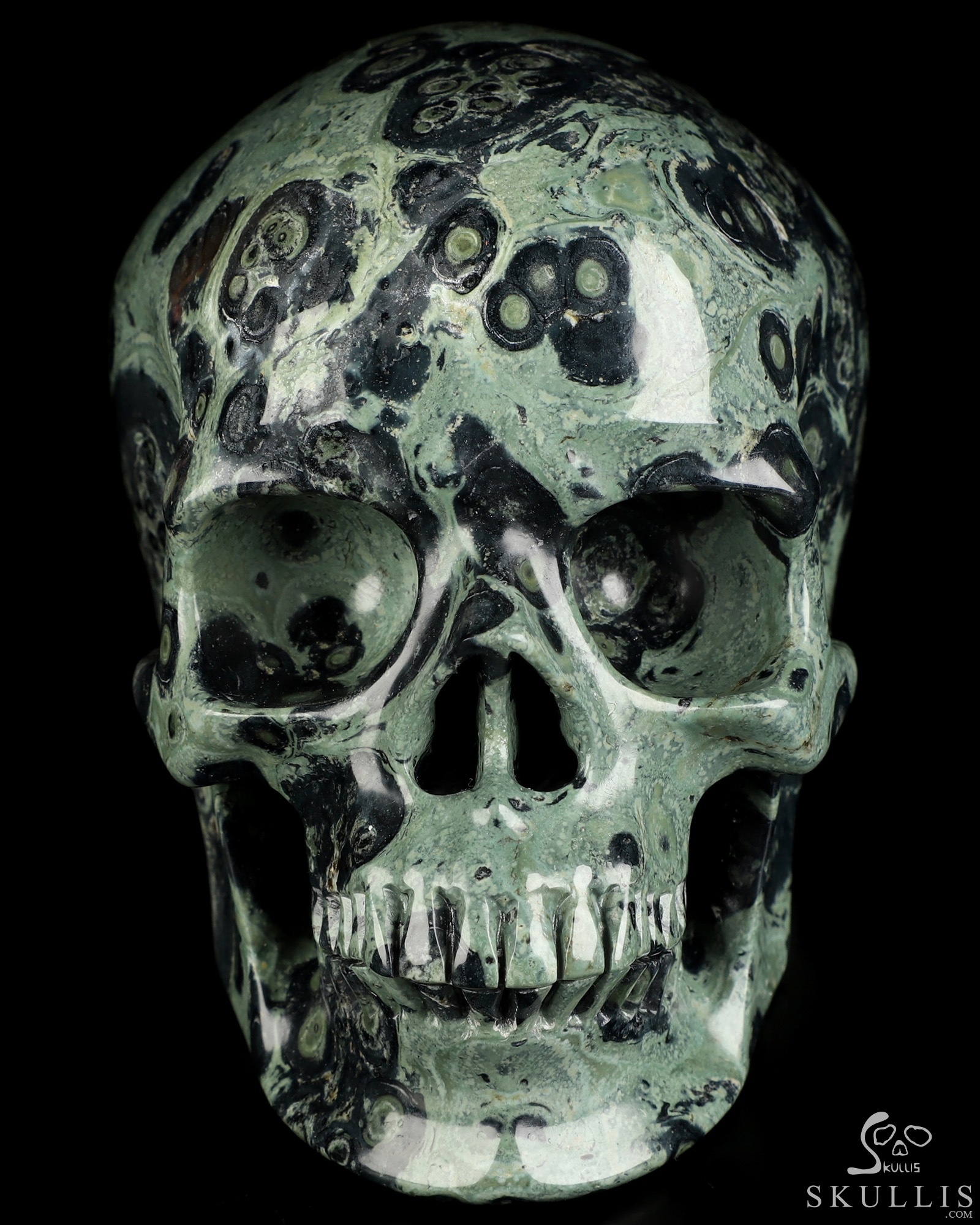 5.0" Kambaba Jasper Hand Carved Crystal Skull, Super Realistic, Crystal Healing 5.0" Kambaba Jasper Hand Carved Crystal Skull, Super Realistic, Crystal Healing