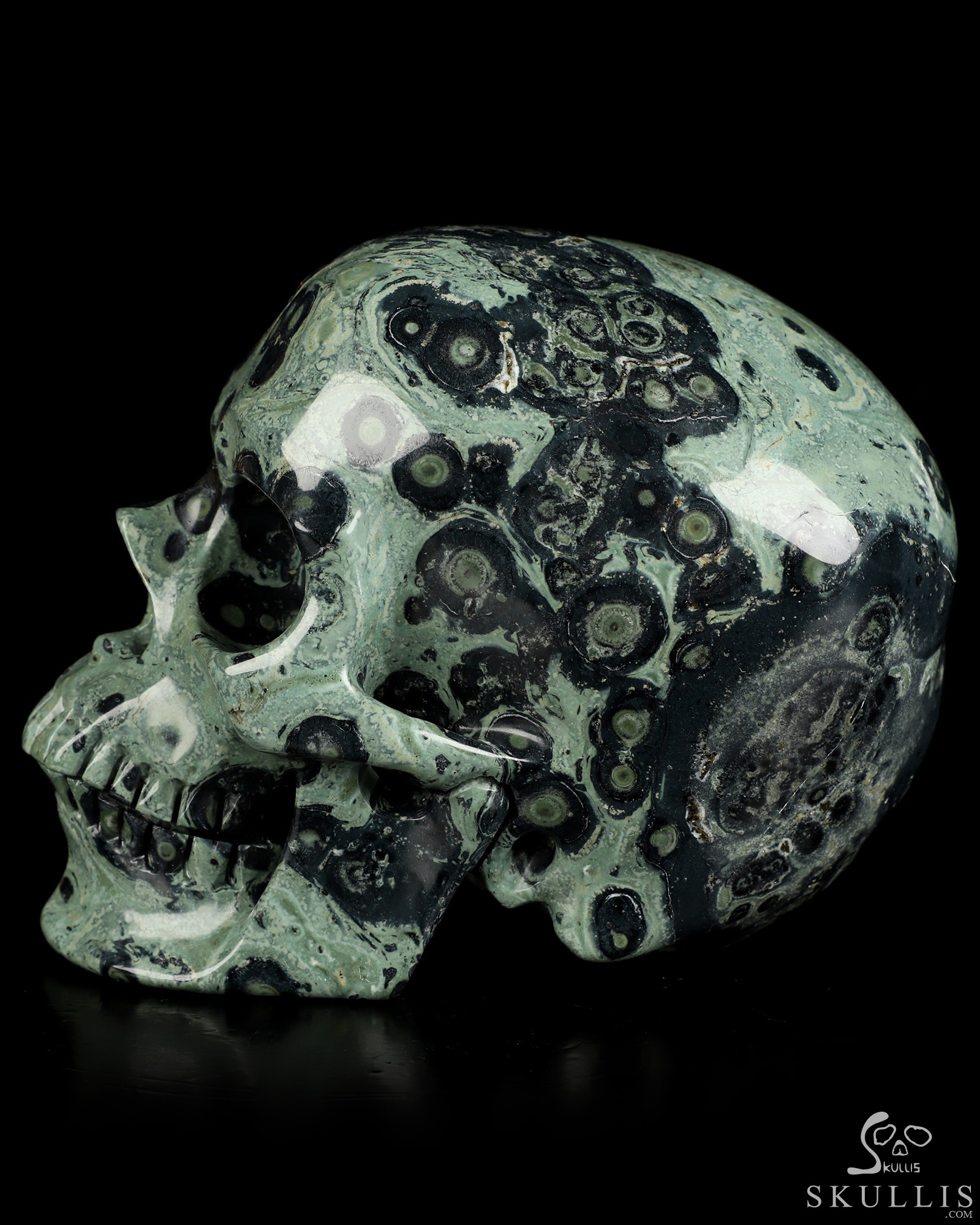 5.0" Kambaba Jasper Hand Carved Crystal Skull, Super Realistic, Crystal Healing 5.0" Kambaba Jasper Hand Carved Crystal Skull, Super Realistic, Crystal Healing