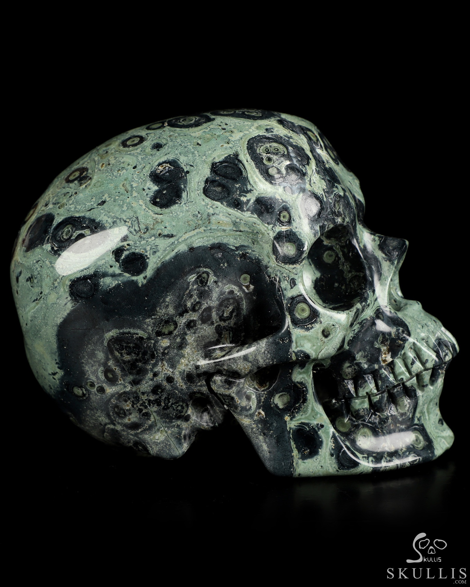 5.0" Kambaba Jasper Hand Carved Crystal Skull, Super Realistic, Crystal Healing 5.0" Kambaba Jasper Hand Carved Crystal Skull, Super Realistic, Crystal Healing