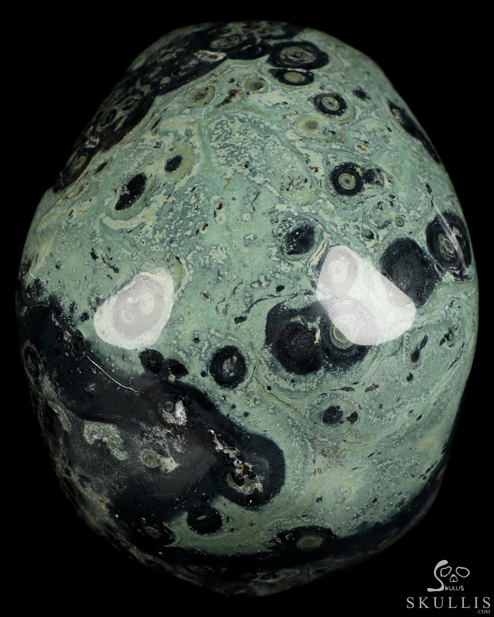 5.0" Kambaba Jasper Hand Carved Crystal Skull, Super Realistic, Crystal Healing 5.0" Kambaba Jasper Hand Carved Crystal Skull, Super Realistic, Crystal Healing