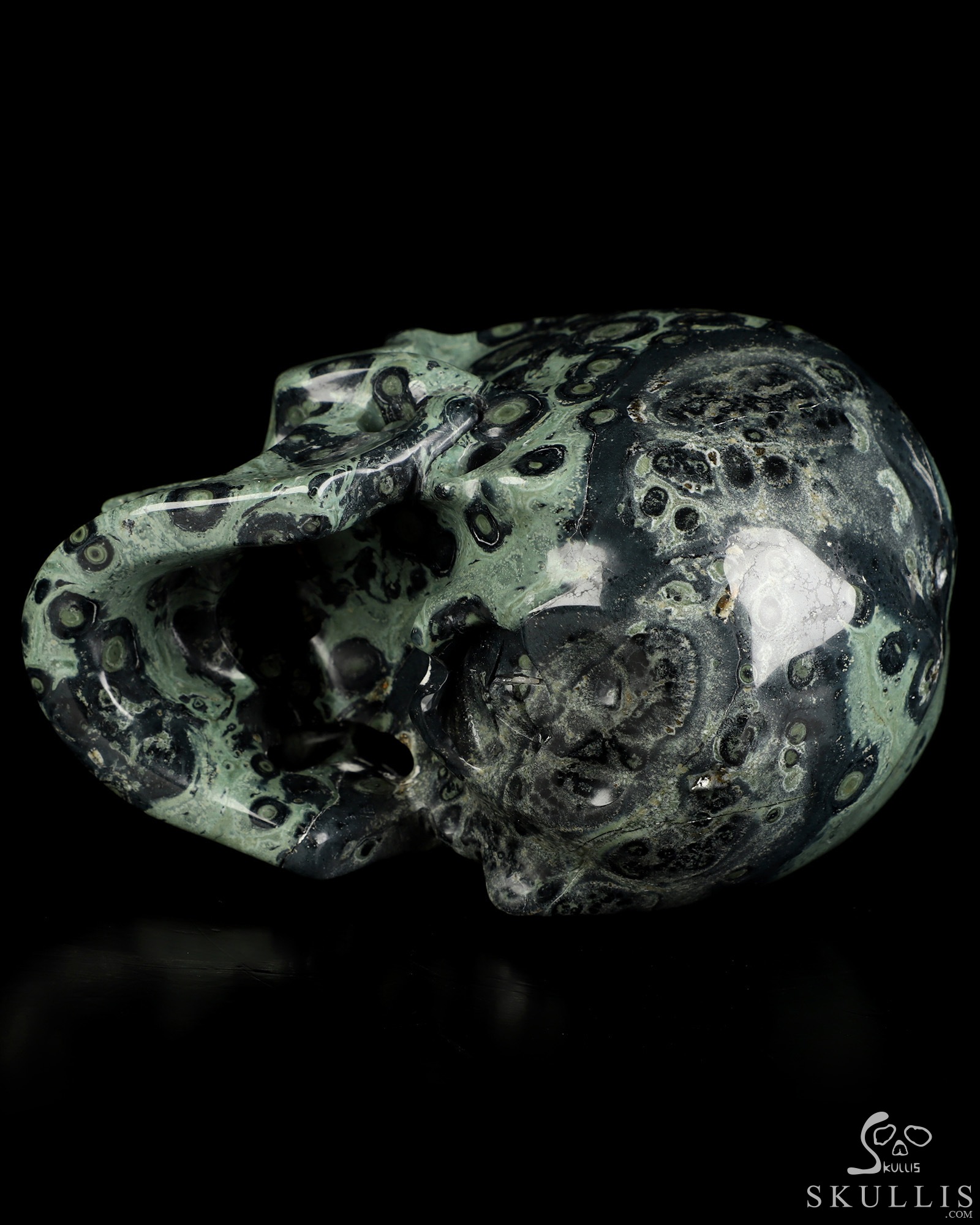 5.0" Kambaba Jasper Hand Carved Crystal Skull, Super Realistic, Crystal Healing 5.0" Kambaba Jasper Hand Carved Crystal Skull, Super Realistic, Crystal Healing