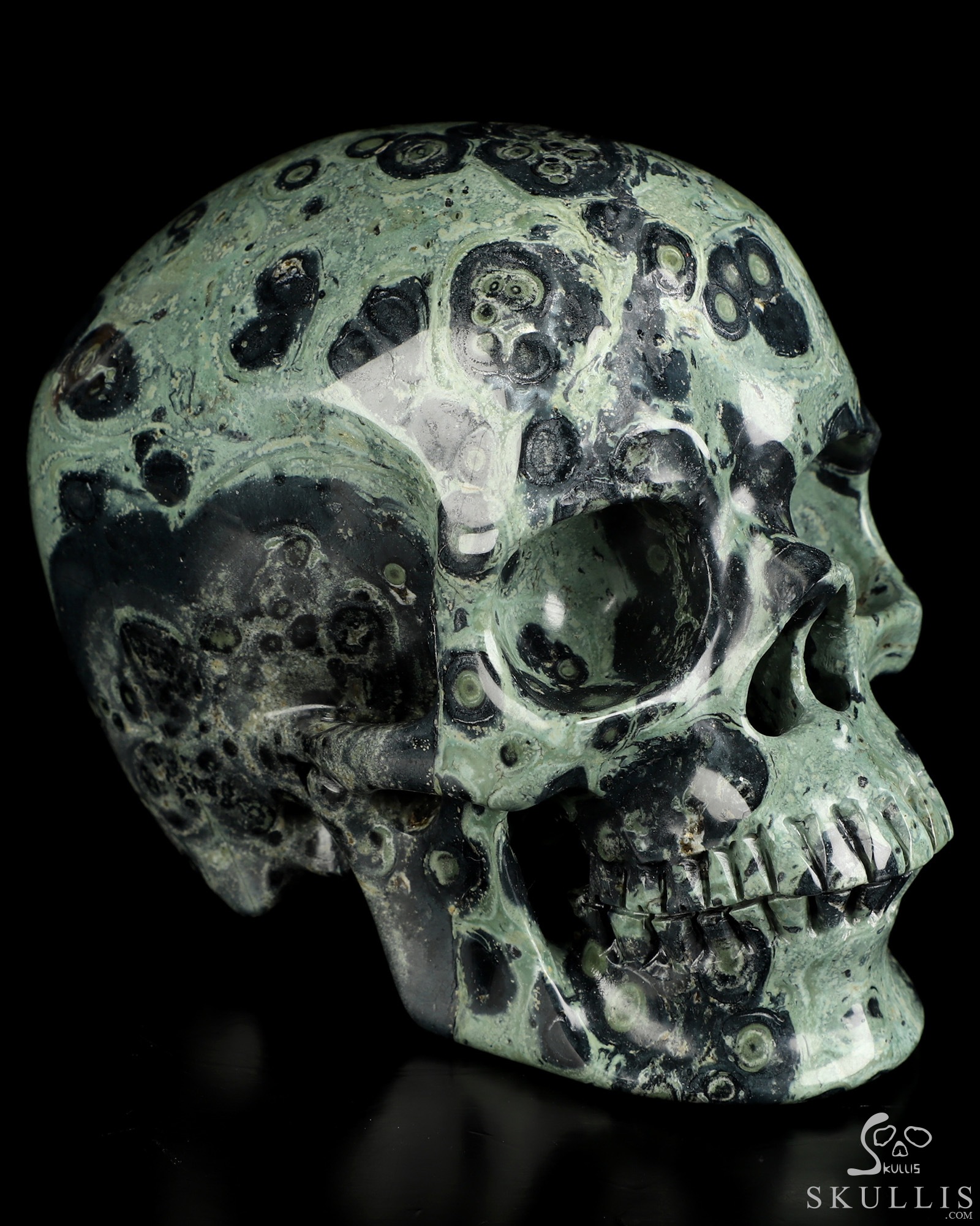 5.0" Kambaba Jasper Hand Carved Crystal Skull, Super Realistic, Crystal Healing 5.0" Kambaba Jasper Hand Carved Crystal Skull, Super Realistic, Crystal Healing