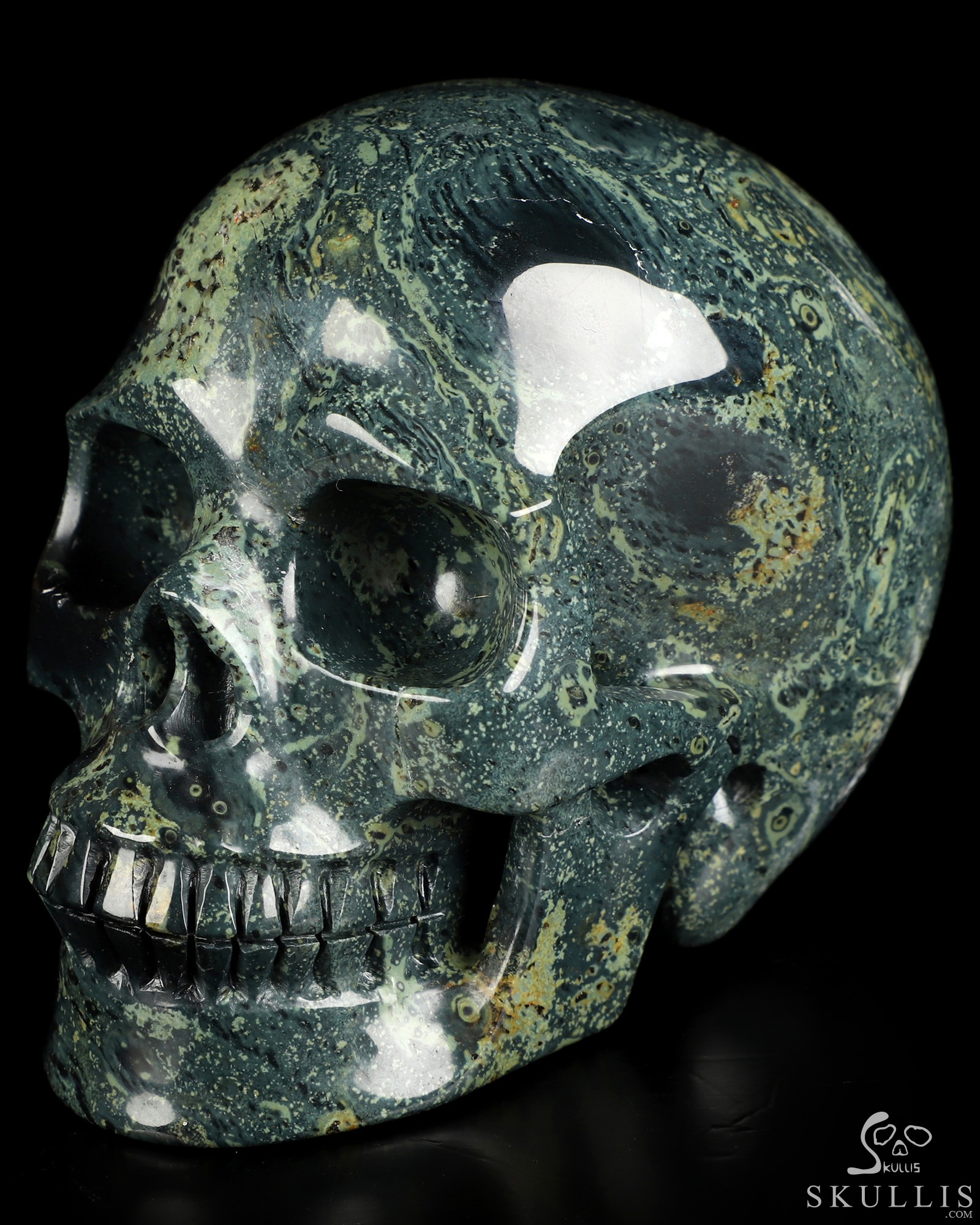 4.9" Kambaba Jasper Hand Carved Crystal Skull, Realistic, Crystal Healing 4.9" Kambaba Jasper Hand Carved Crystal Skull, Realistic, Crystal Healing