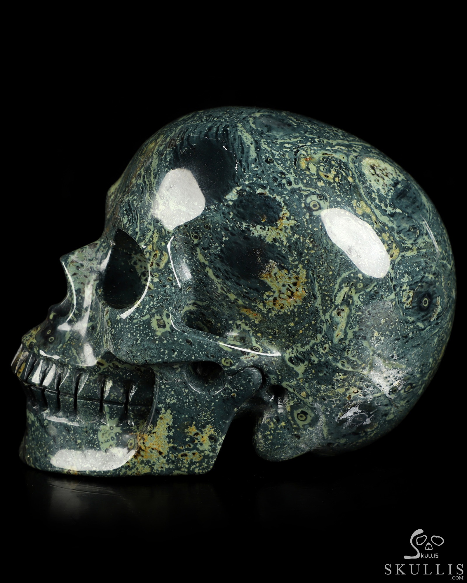 4.9" Kambaba Jasper Hand Carved Crystal Skull, Realistic, Crystal Healing 4.9" Kambaba Jasper Hand Carved Crystal Skull, Realistic, Crystal Healing