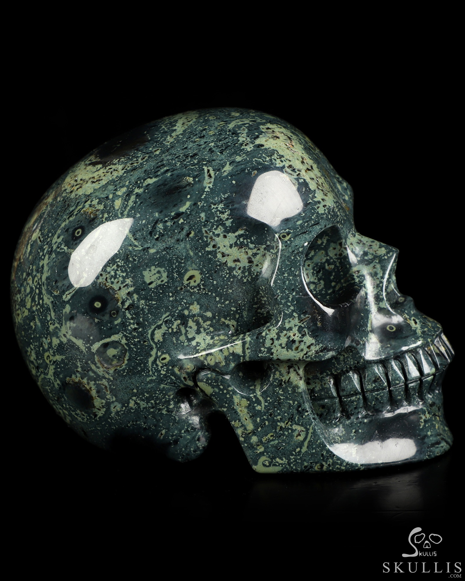 4.9" Kambaba Jasper Hand Carved Crystal Skull, Realistic, Crystal Healing 4.9" Kambaba Jasper Hand Carved Crystal Skull, Realistic, Crystal Healing