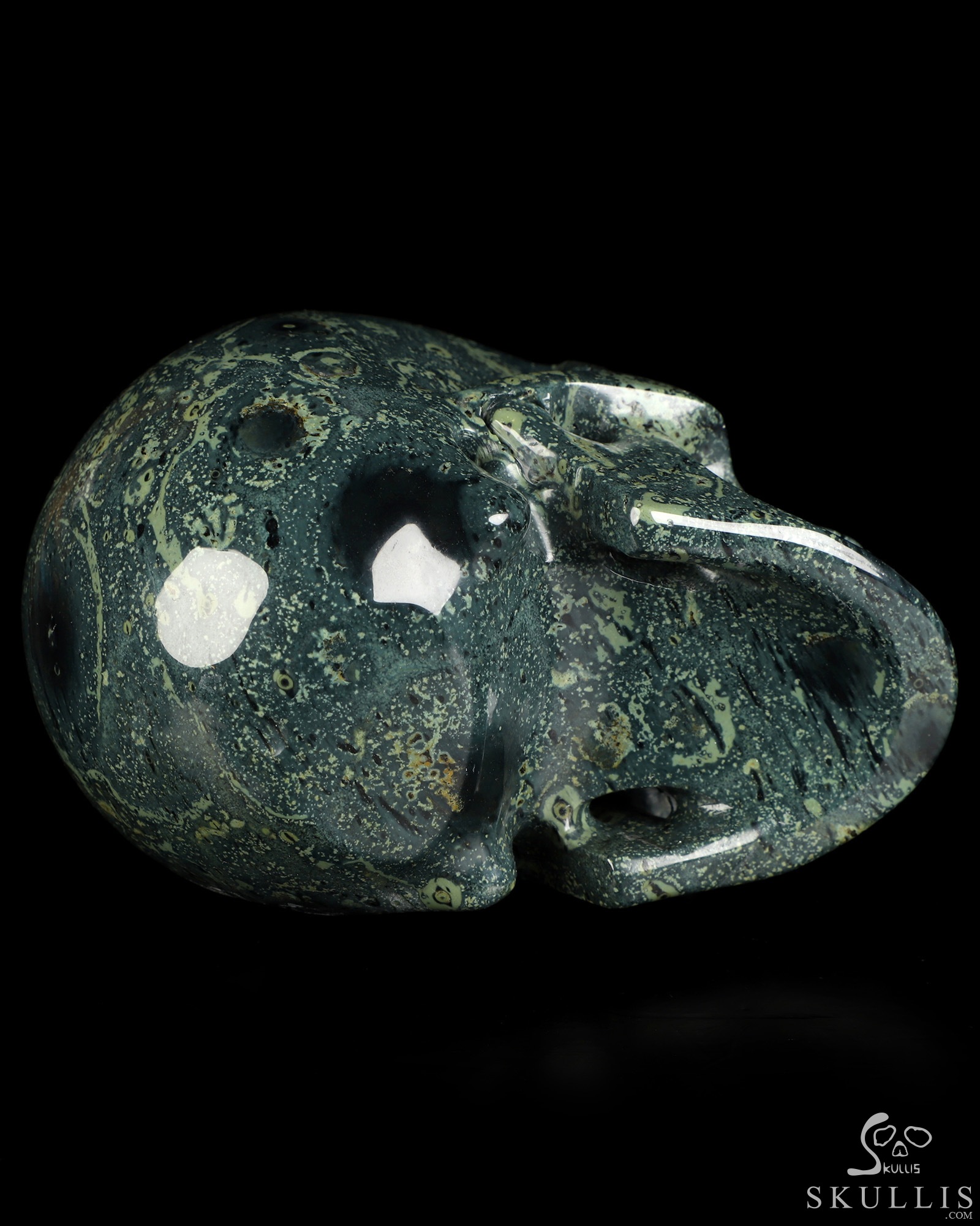 4.9" Kambaba Jasper Hand Carved Crystal Skull, Realistic, Crystal Healing 4.9" Kambaba Jasper Hand Carved Crystal Skull, Realistic, Crystal Healing