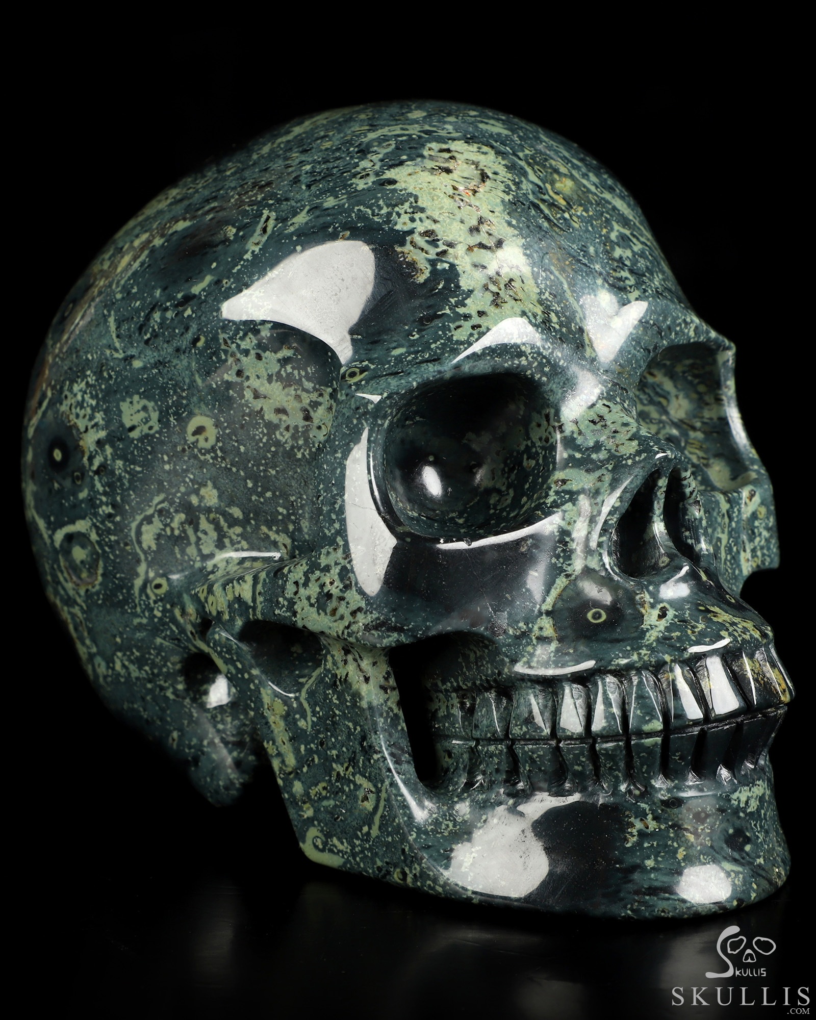 4.9" Kambaba Jasper Hand Carved Crystal Skull, Realistic, Crystal Healing 4.9" Kambaba Jasper Hand Carved Crystal Skull, Realistic, Crystal Healing