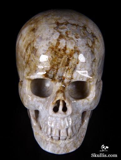 2.5" Coral Fossil Carved Crystal Skull, Realistic 2.5" Coral Fossil Carved Crystal Skull, Realistic