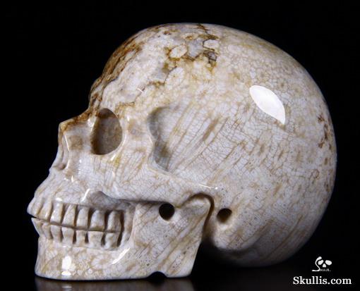 2.5" Coral Fossil Carved Crystal Skull, Realistic 2.5" Coral Fossil Carved Crystal Skull, Realistic
