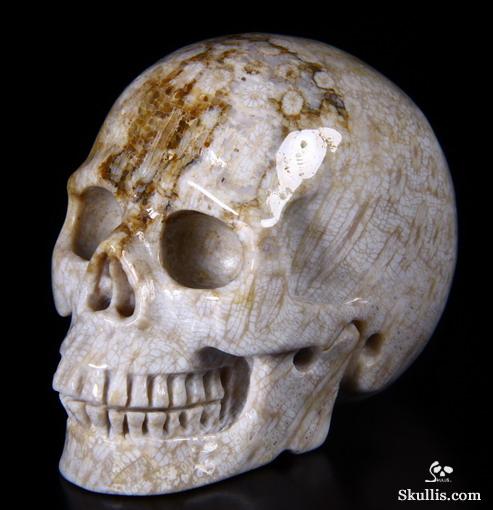 2.5" Coral Fossil Carved Crystal Skull, Realistic 2.5" Coral Fossil Carved Crystal Skull, Realistic