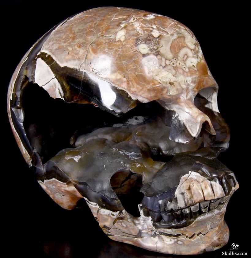 AMAZING UNIQUE GEODE GIANT 6.4" Dinosaur Egg Agate Carved Crystal Skull AMAZING UNIQUE GEODE GIANT 6.4" Dinosaur Egg Agate Carved Crystal Skull
