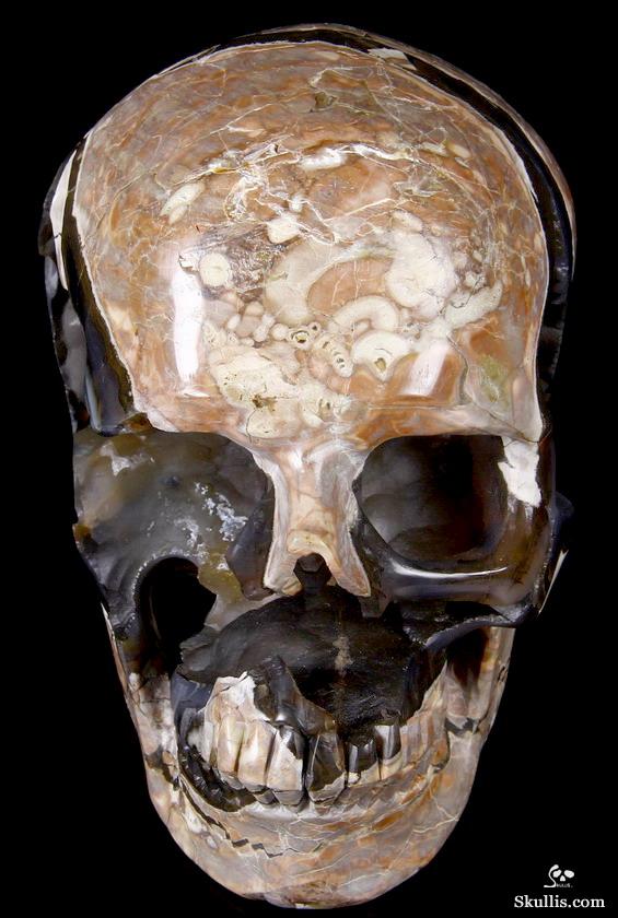 AMAZING UNIQUE GEODE GIANT 6.4" Dinosaur Egg Agate Carved Crystal Skull AMAZING UNIQUE GEODE GIANT 6.4" Dinosaur Egg Agate Carved Crystal Skull