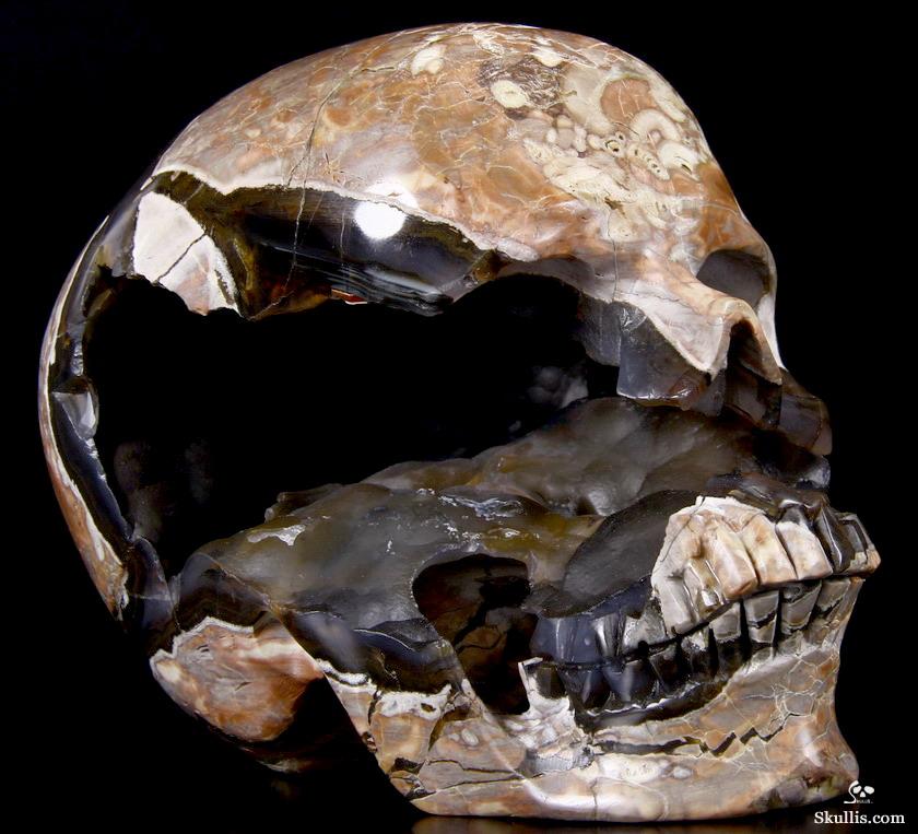 AMAZING UNIQUE GEODE GIANT 6.4" Dinosaur Egg Agate Carved Crystal Skull AMAZING UNIQUE GEODE GIANT 6.4" Dinosaur Egg Agate Carved Crystal Skull