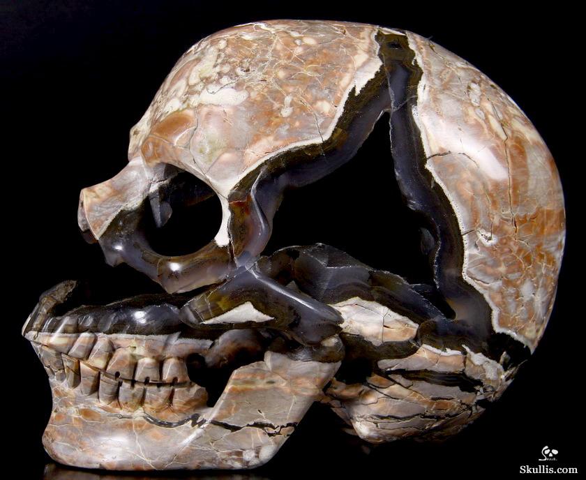 AMAZING UNIQUE GEODE GIANT 6.4" Dinosaur Egg Agate Carved Crystal Skull AMAZING UNIQUE GEODE GIANT 6.4" Dinosaur Egg Agate Carved Crystal Skull