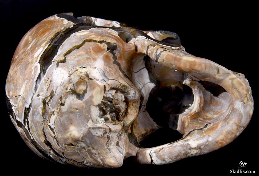 AMAZING UNIQUE GEODE GIANT 6.4" Dinosaur Egg Agate Carved Crystal Skull AMAZING UNIQUE GEODE GIANT 6.4" Dinosaur Egg Agate Carved Crystal Skull