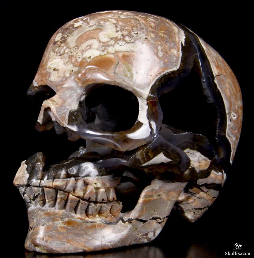 AMAZING UNIQUE GEODE GIANT 6.4" Dinosaur Egg Agate Carved Crystal Skull AMAZING UNIQUE GEODE GIANT 6.4" Dinosaur Egg Agate Carved Crystal Skull