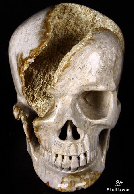 Lifesized 7.2" Coral Fossil Carved Crystal Skull, Realistic Lifesized 7.2" Coral Fossil Carved Crystal Skull, Realistic