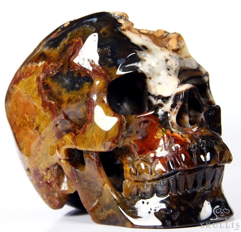 Huge 5.3" Black Zebra Agate Carved Crystal Skull Huge 5.3" Black Zebra Agate Carved Crystal Skull
