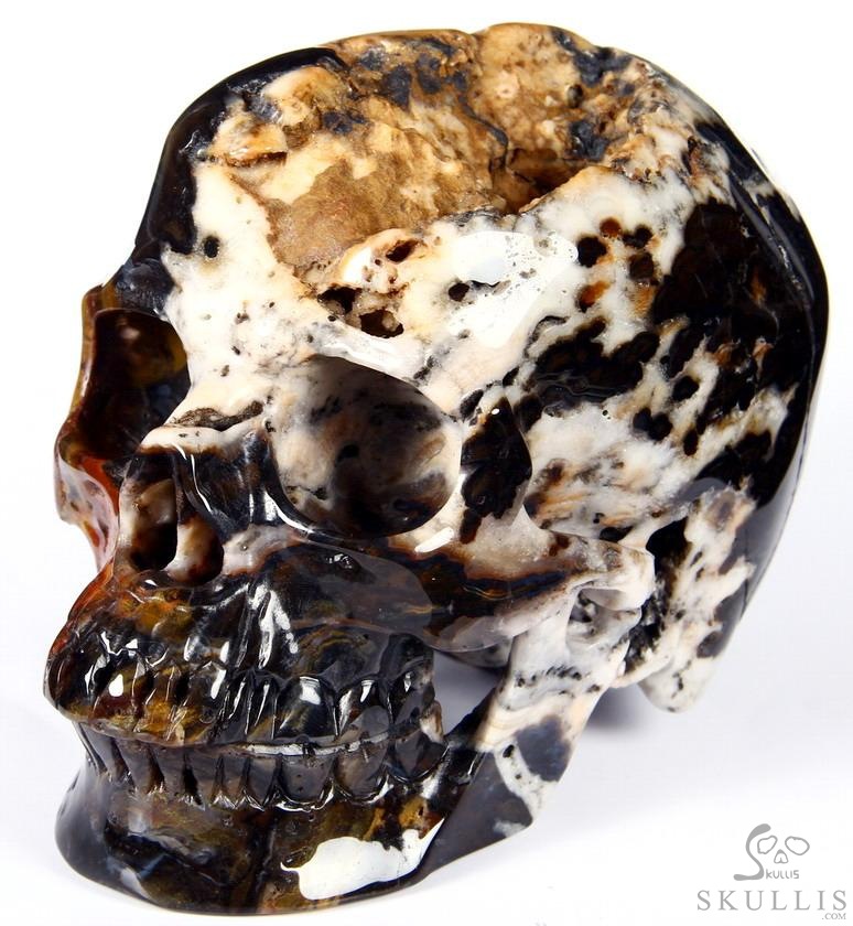 Huge 5.3" Black Zebra Agate Carved Crystal Skull Huge 5.3" Black Zebra Agate Carved Crystal Skull