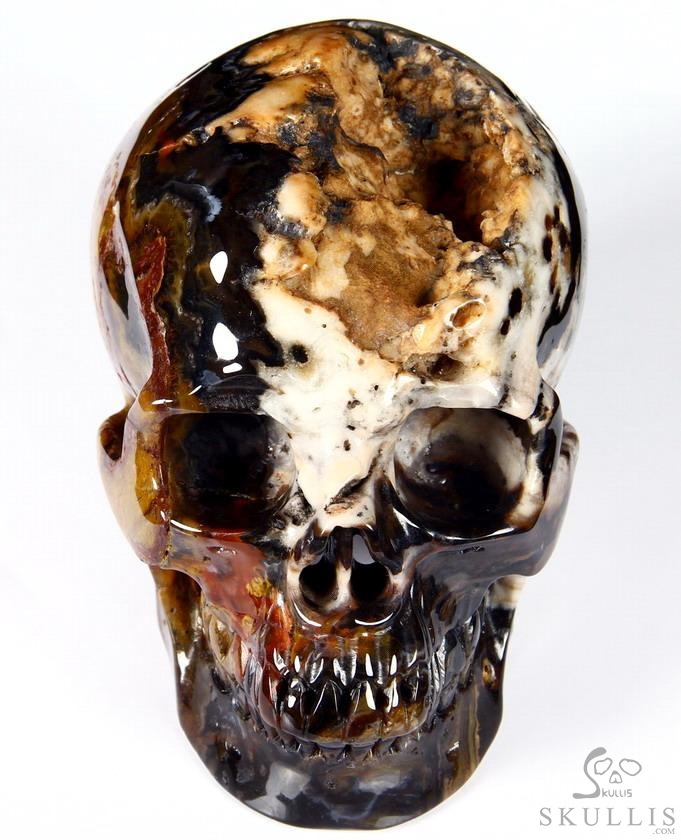 Huge 5.3" Black Zebra Agate Carved Crystal Skull Huge 5.3" Black Zebra Agate Carved Crystal Skull