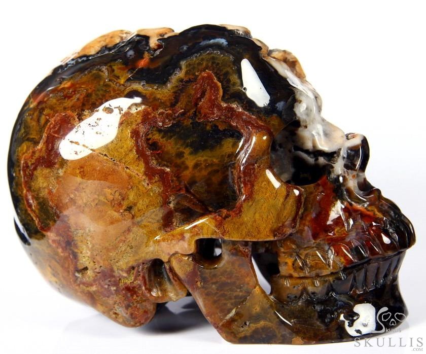 Huge 5.3" Black Zebra Agate Carved Crystal Skull Huge 5.3" Black Zebra Agate Carved Crystal Skull