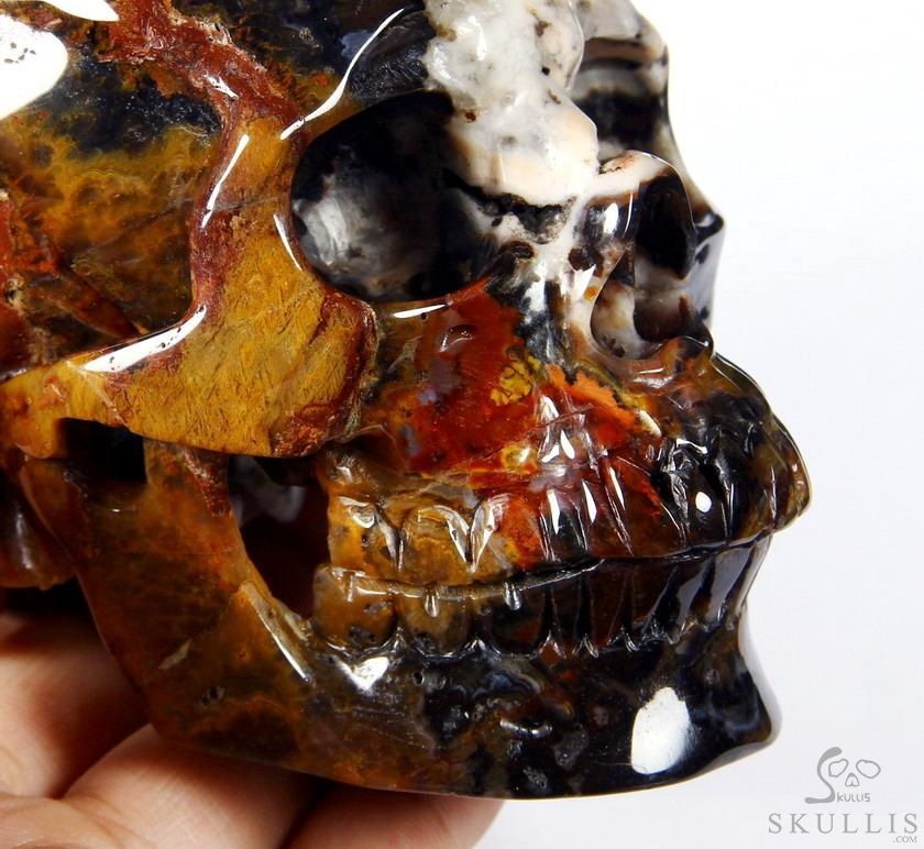 Huge 5.3" Black Zebra Agate Carved Crystal Skull Huge 5.3" Black Zebra Agate Carved Crystal Skull