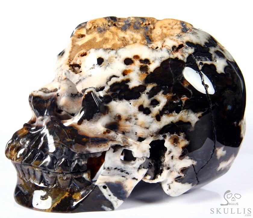 Huge 5.3" Black Zebra Agate Carved Crystal Skull Huge 5.3" Black Zebra Agate Carved Crystal Skull