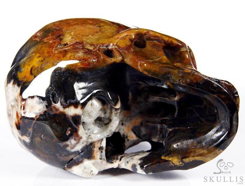 Huge 5.3" Black Zebra Agate Carved Crystal Skull Huge 5.3" Black Zebra Agate Carved Crystal Skull