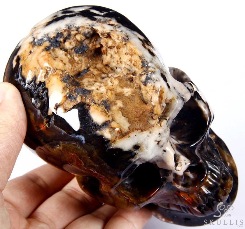 Huge 5.3" Black Zebra Agate Carved Crystal Skull Huge 5.3" Black Zebra Agate Carved Crystal Skull